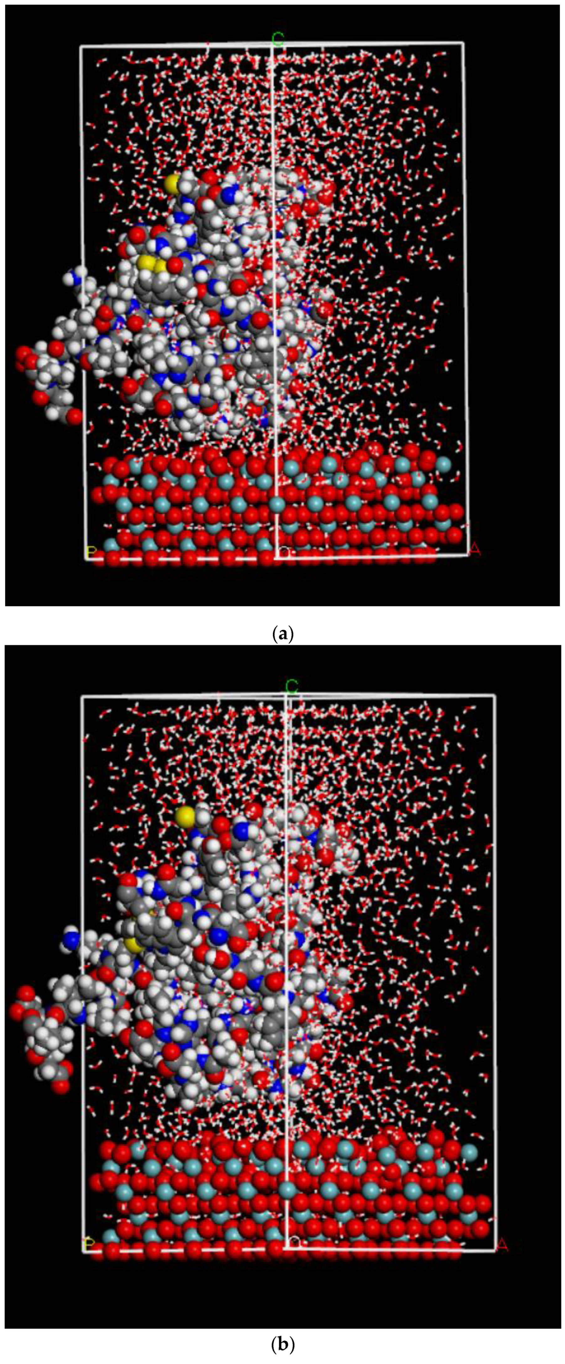 Ijms 22 05946 g007a Ijms 22 05946 g007a