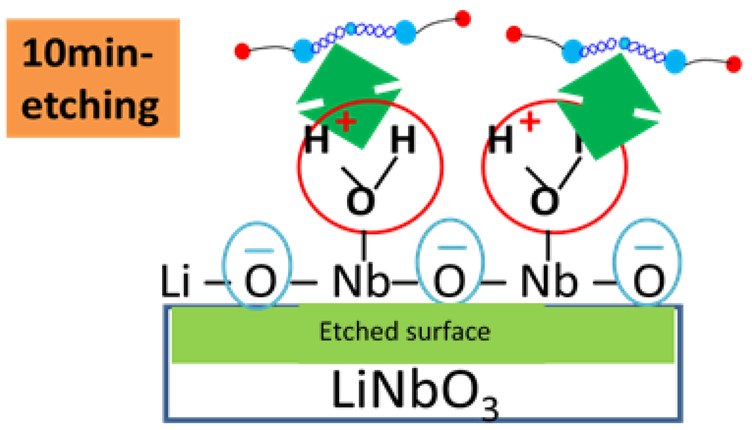 Ijms 22 05946 g008 Ijms 22 05946 g008