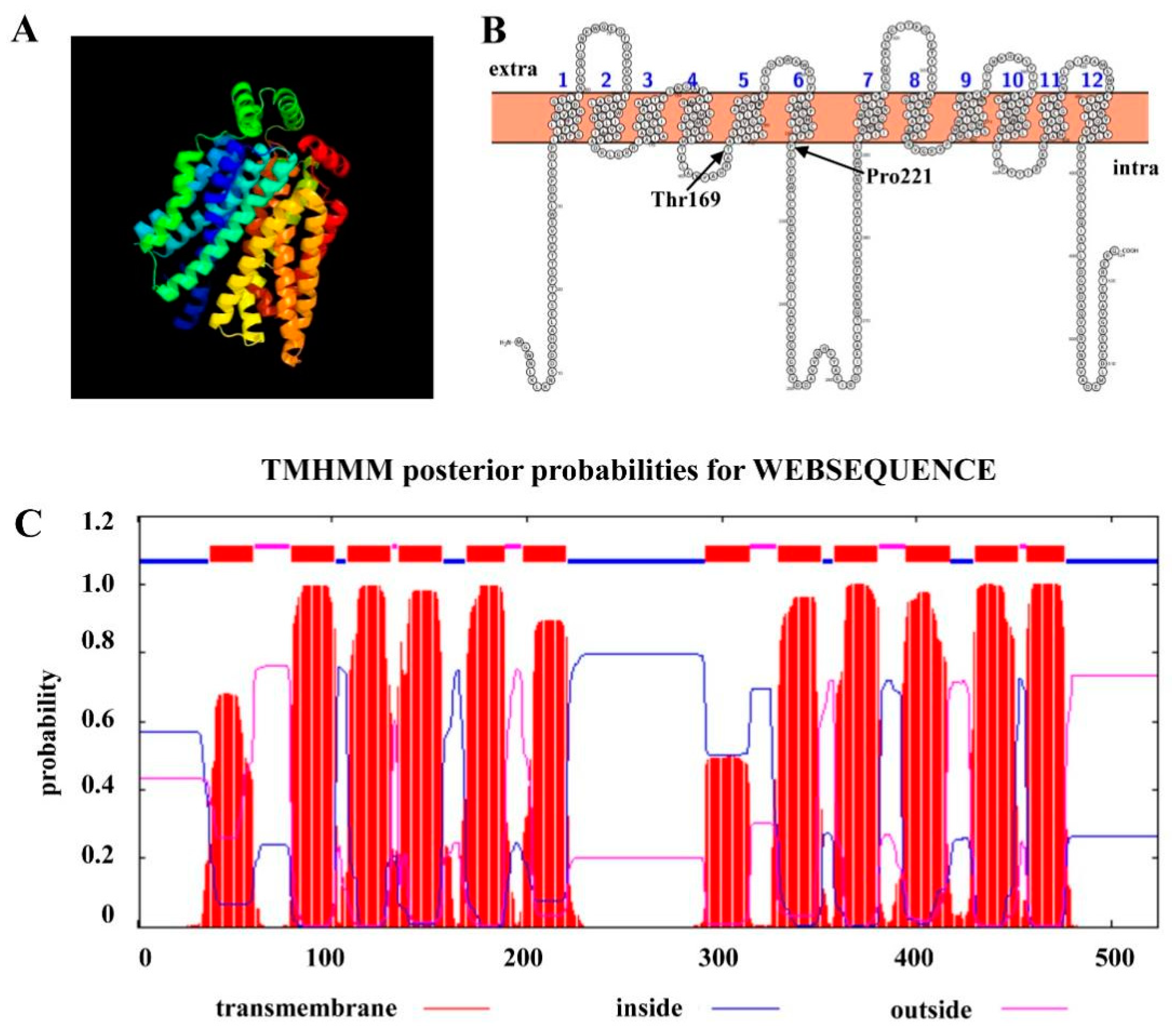 Ijms 22 05963 g005 Ijms 22 05963 g005