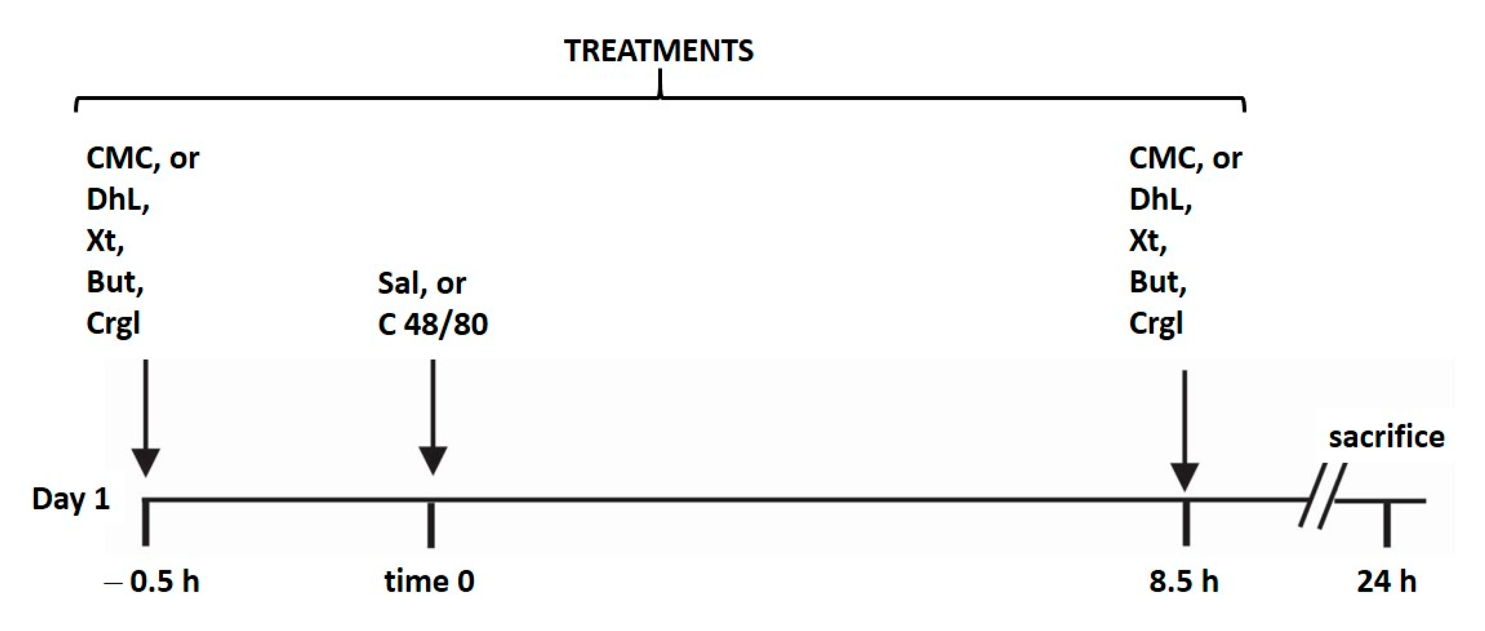 Ijms 22 05983 g008 Ijms 22 05983 g008