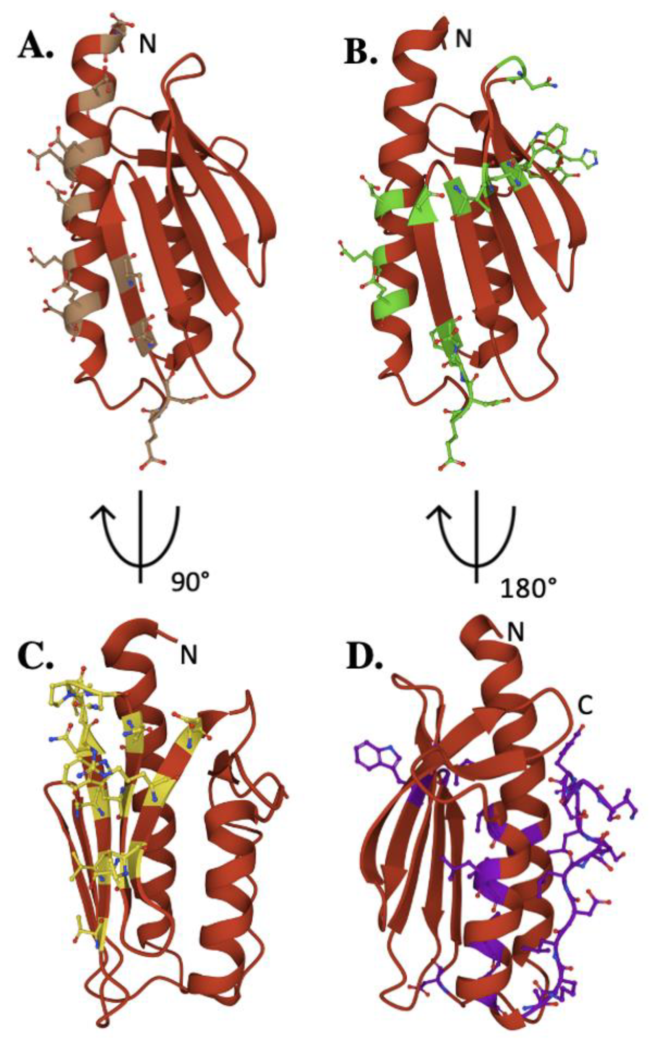 Ijms 22 06006 g004