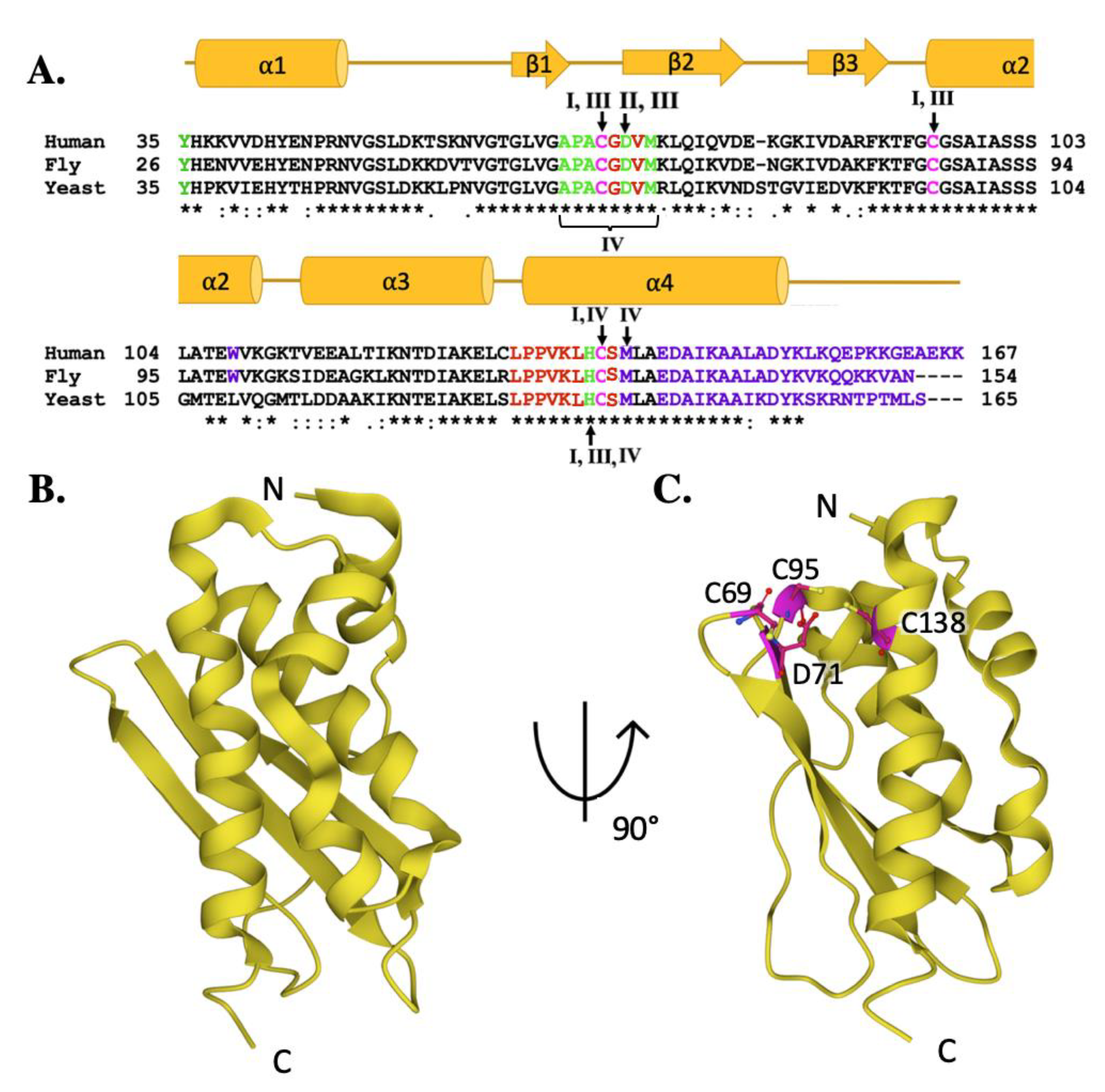 Ijms 22 06006 g005