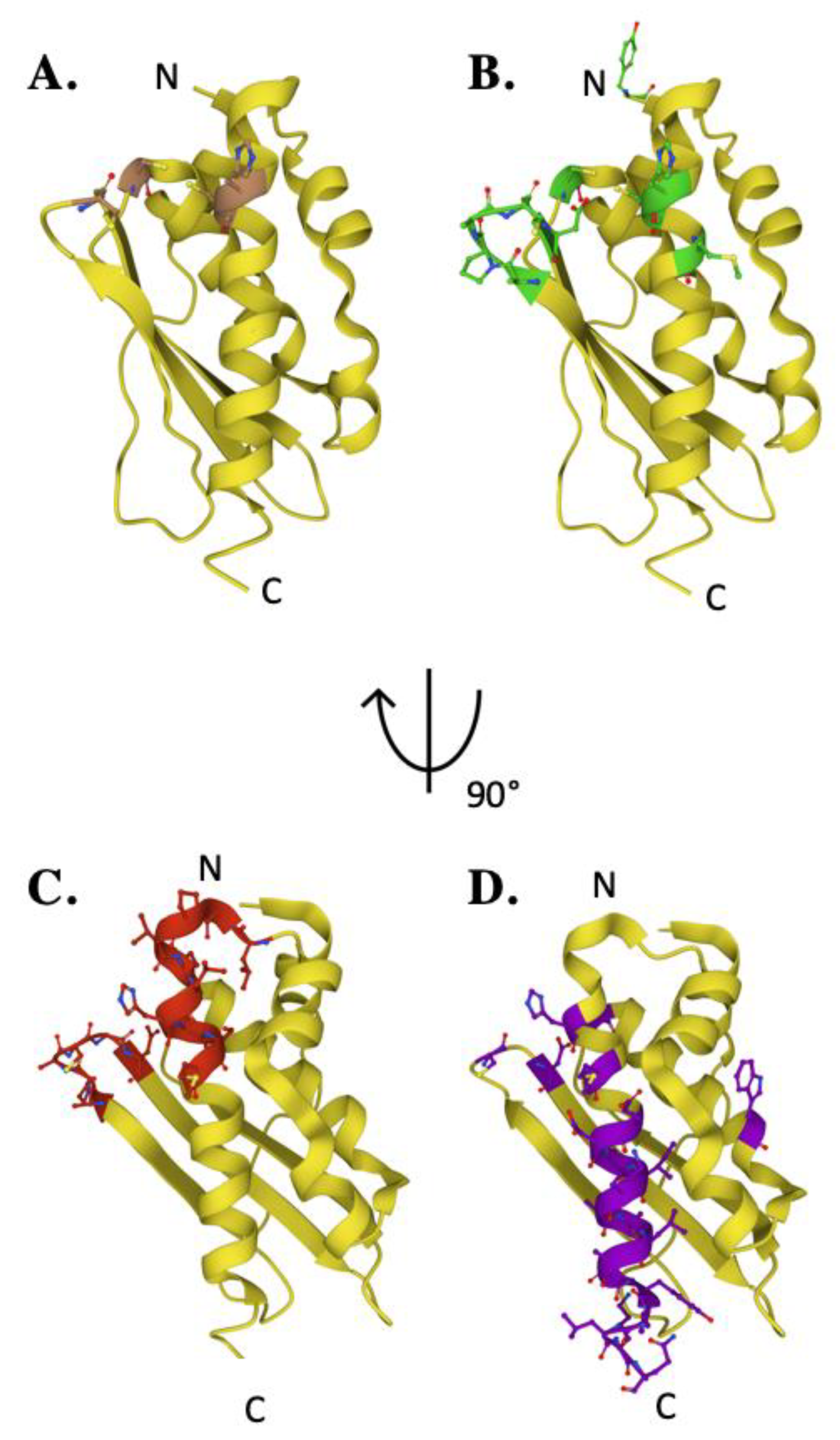 Ijms 22 06006 g006