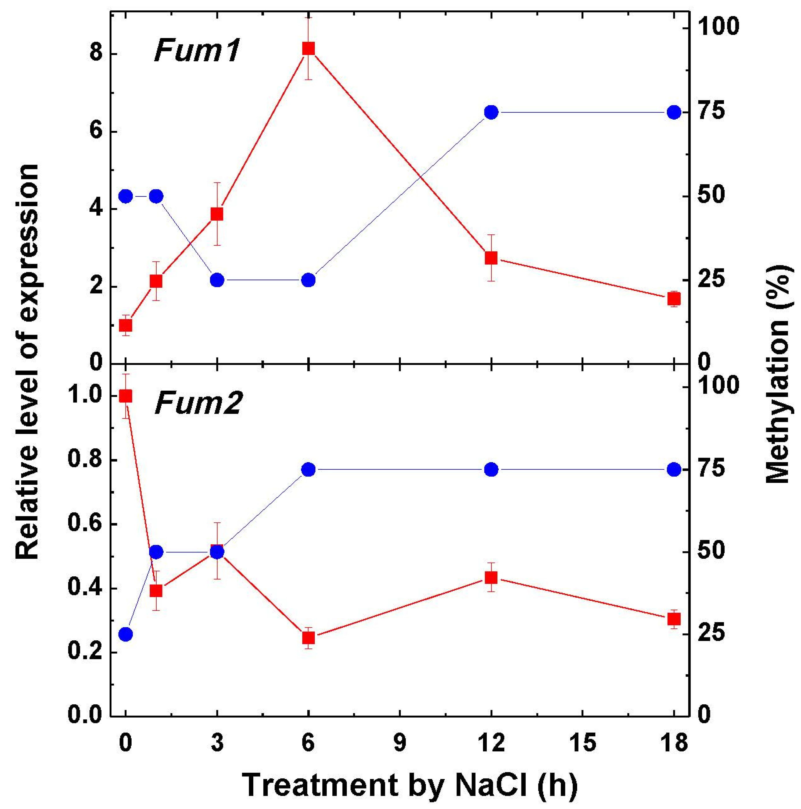 Ijms 22 06012 g005 Ijms 22 06012 g005