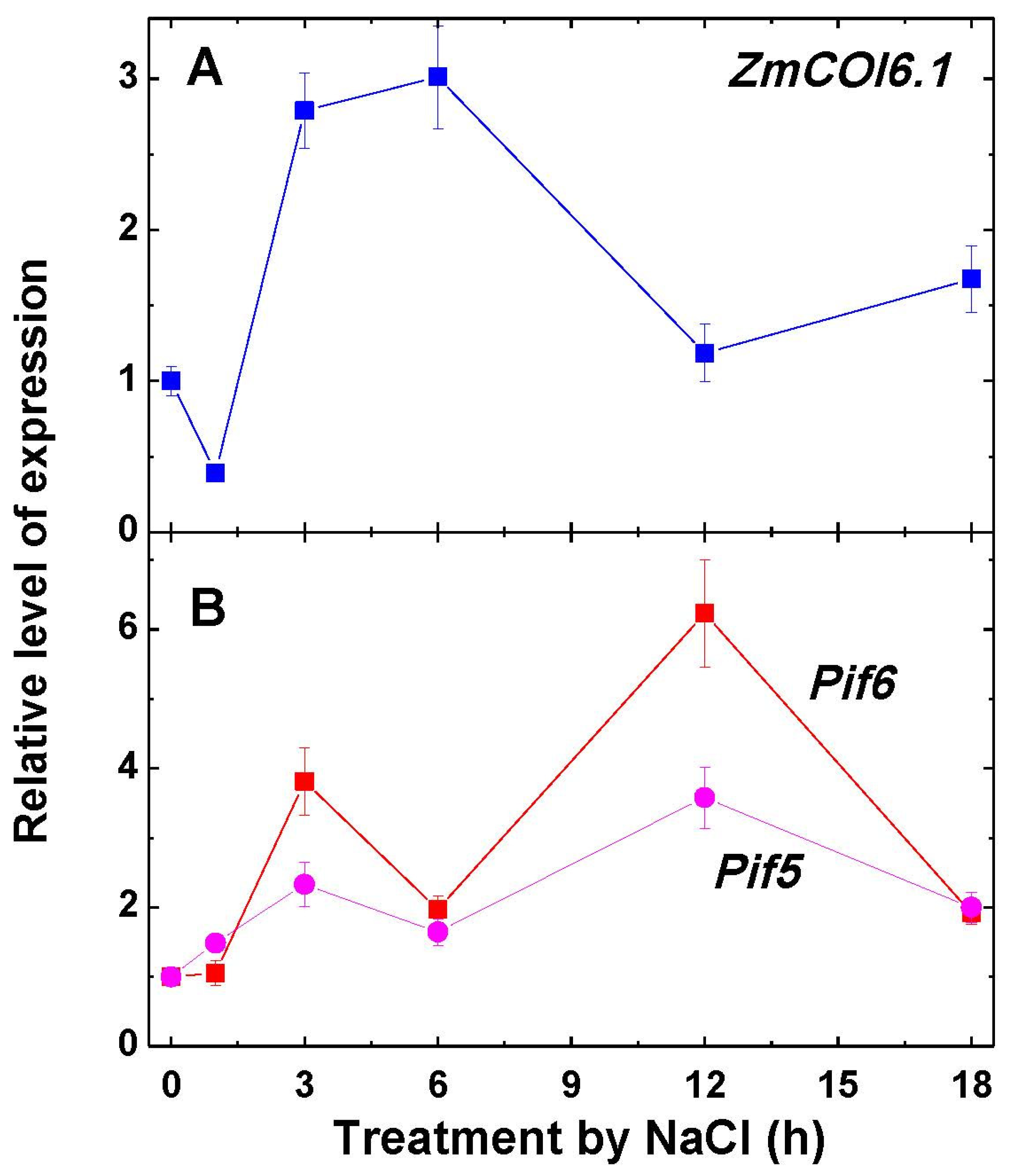Ijms 22 06012 g006 Ijms 22 06012 g006