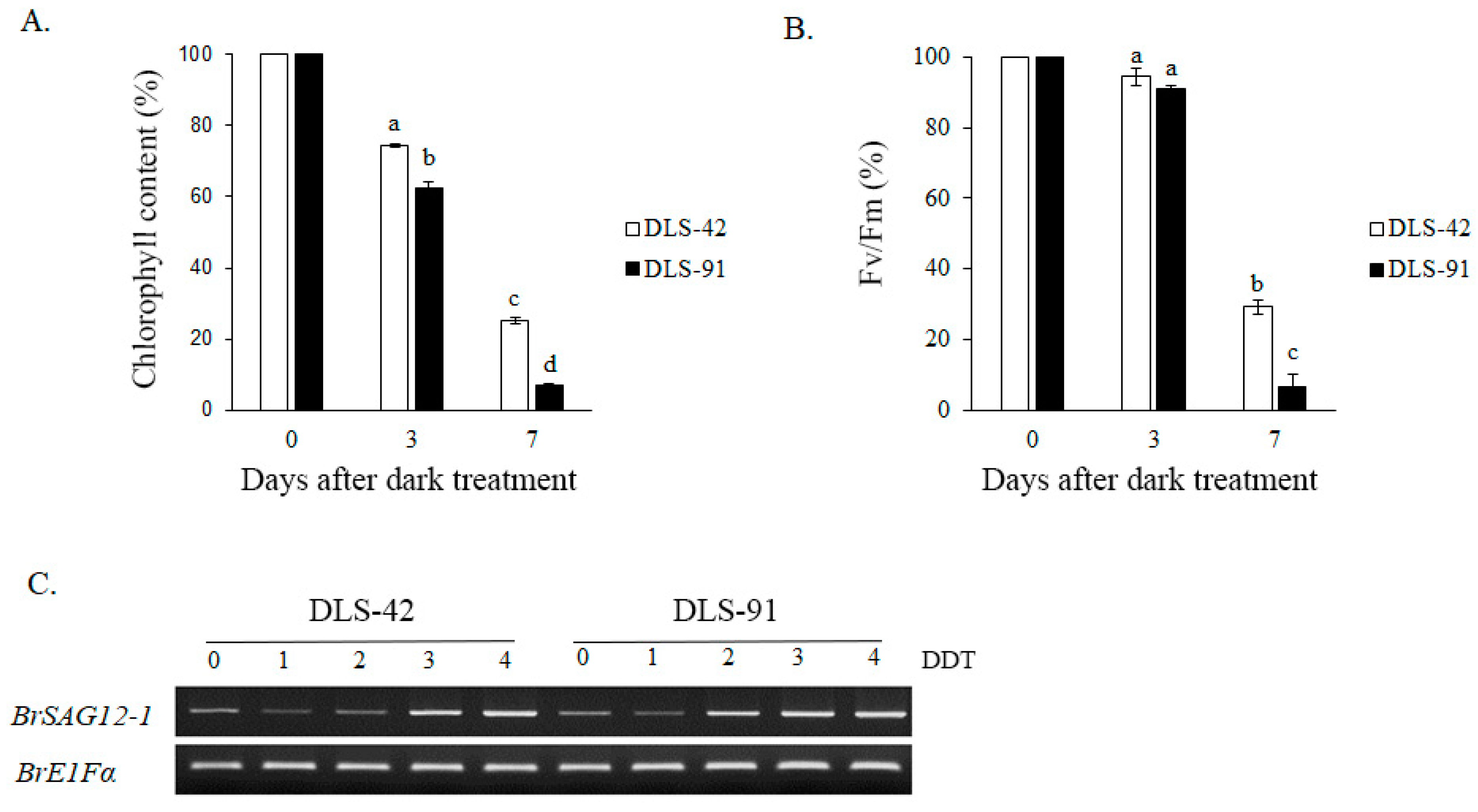 Ijms 22 06017 g002 Ijms 22 06017 g002