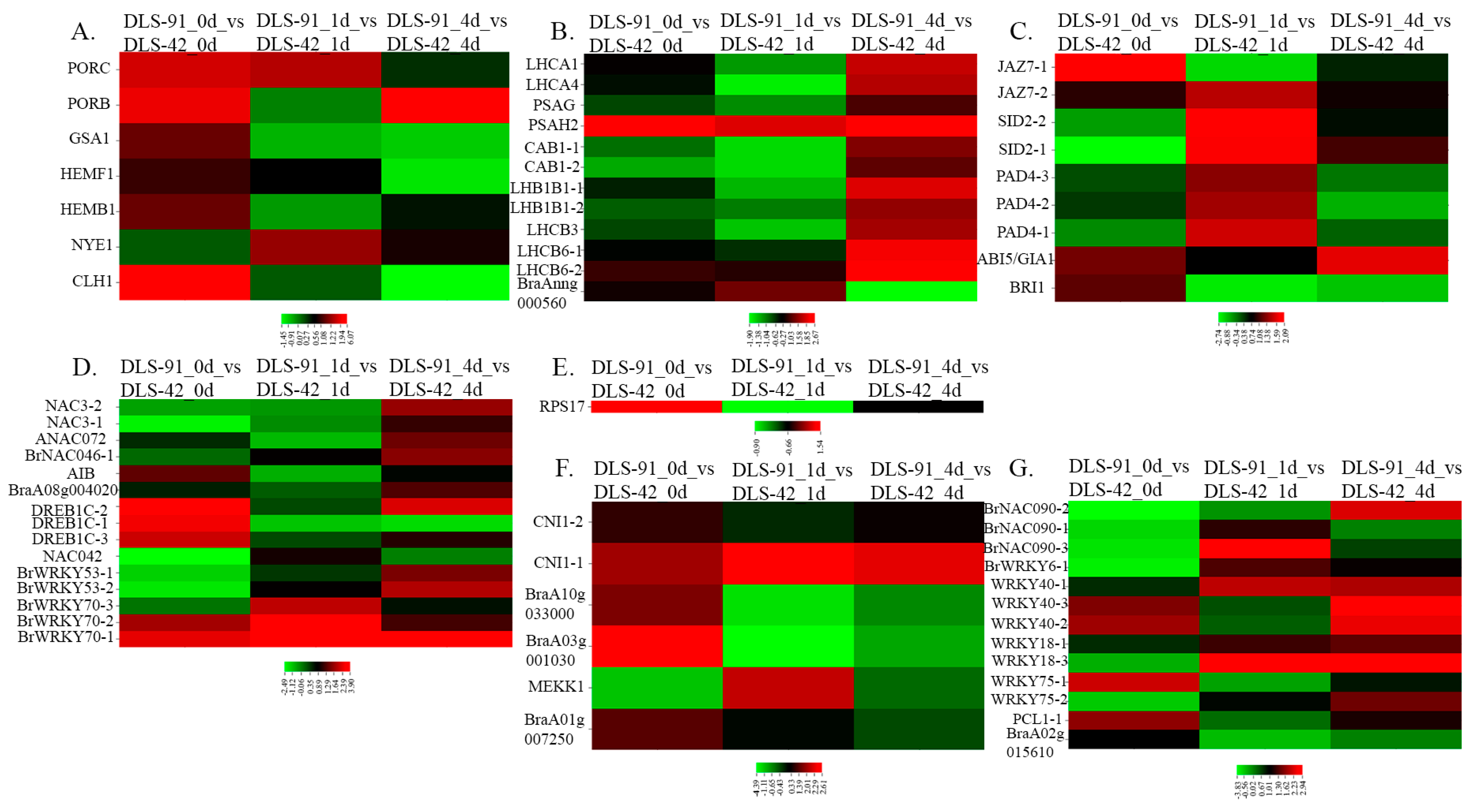 Ijms 22 06017 g006 Ijms 22 06017 g006