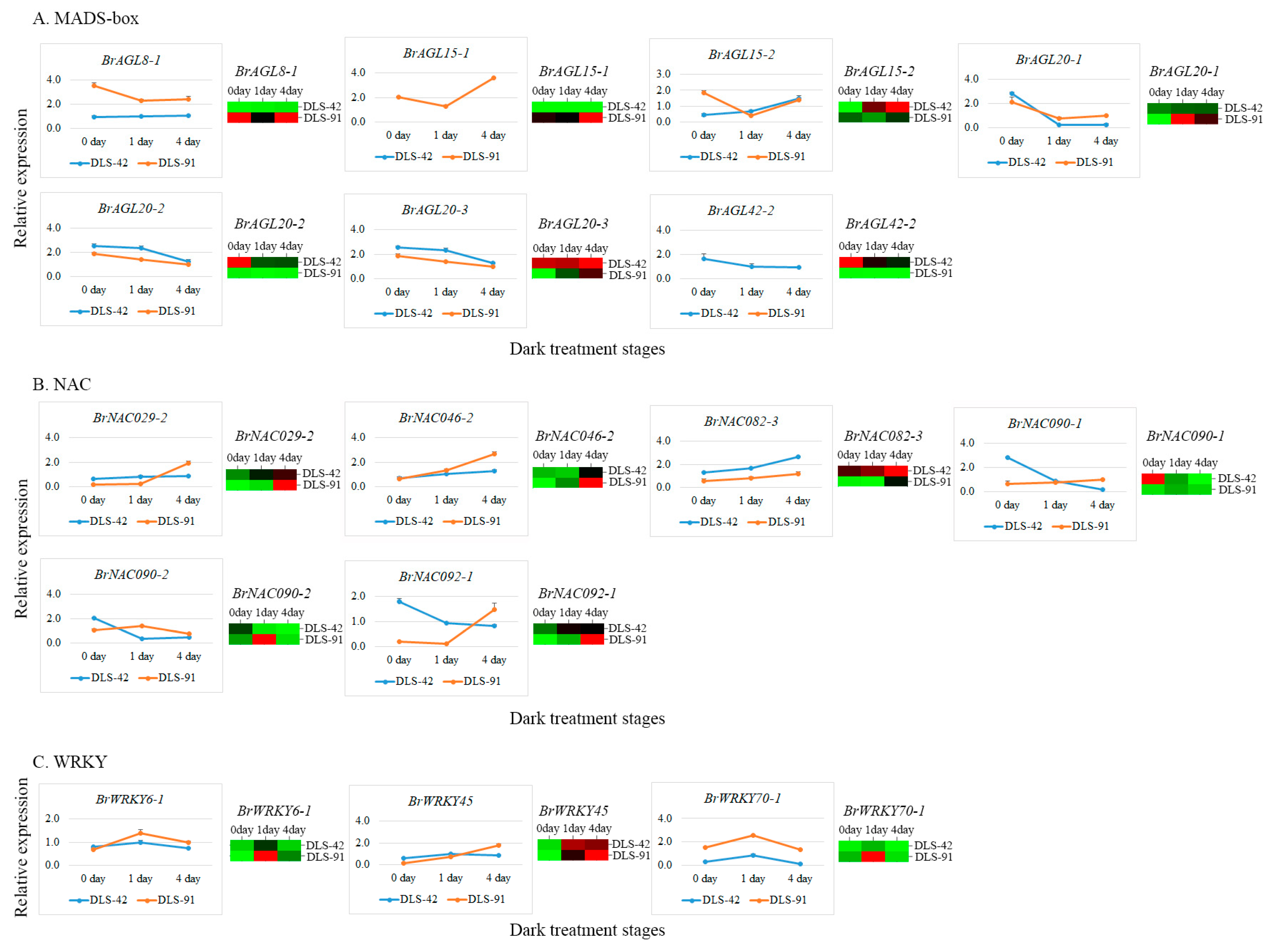 Ijms 22 06017 g007 Ijms 22 06017 g007