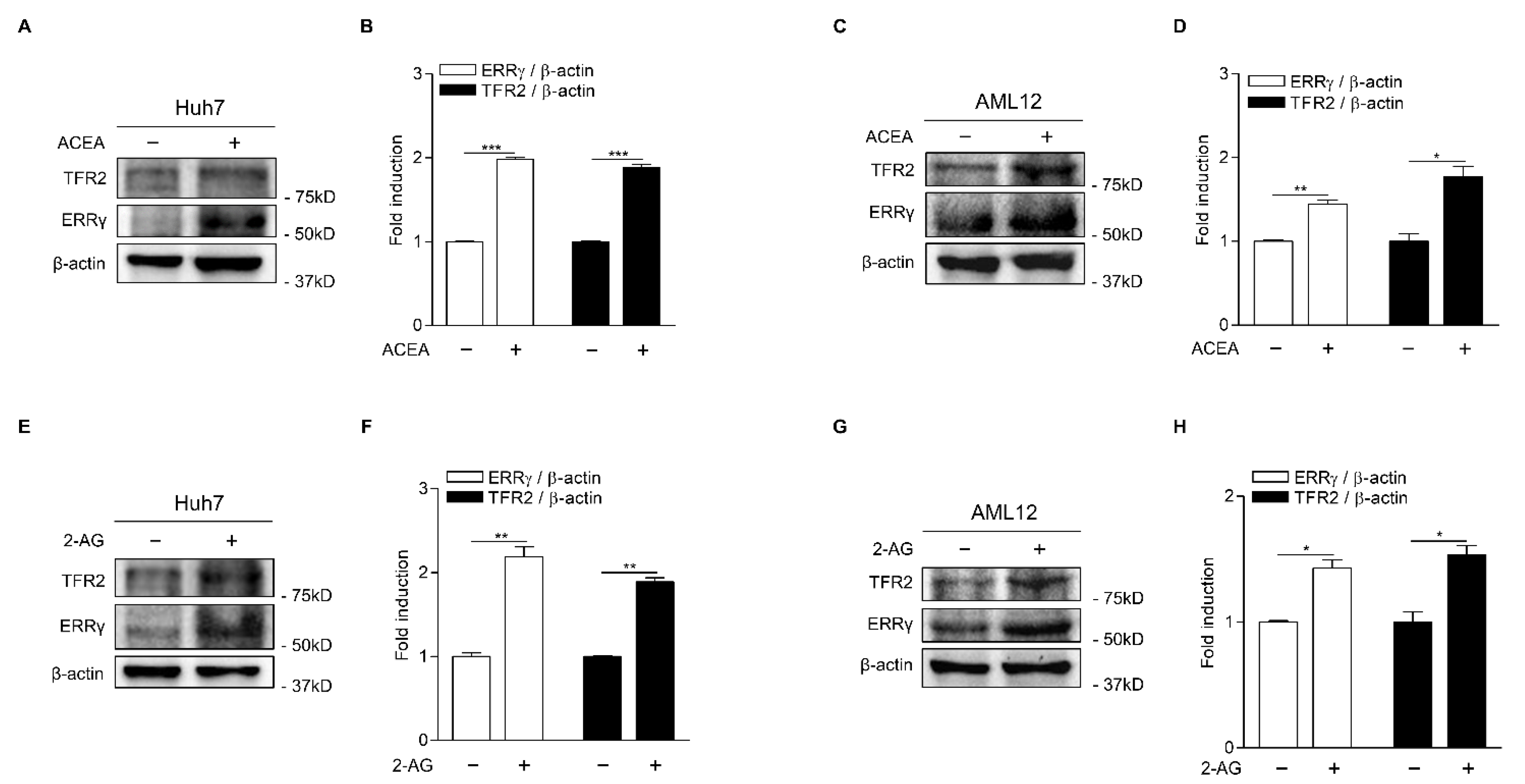 Ijms 22 06021 g002 Ijms 22 06021 g002