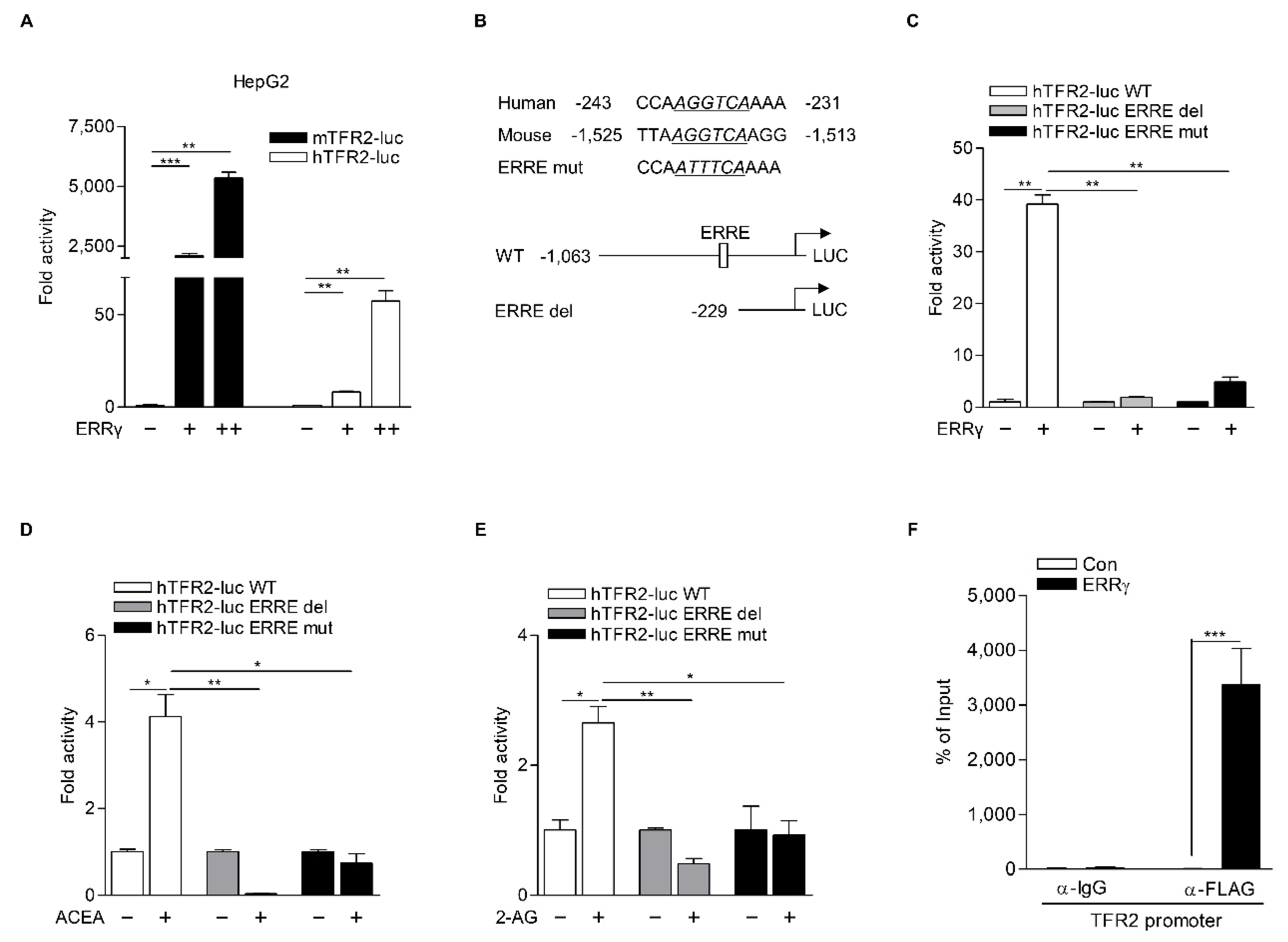 Ijms 22 06021 g005 Ijms 22 06021 g005