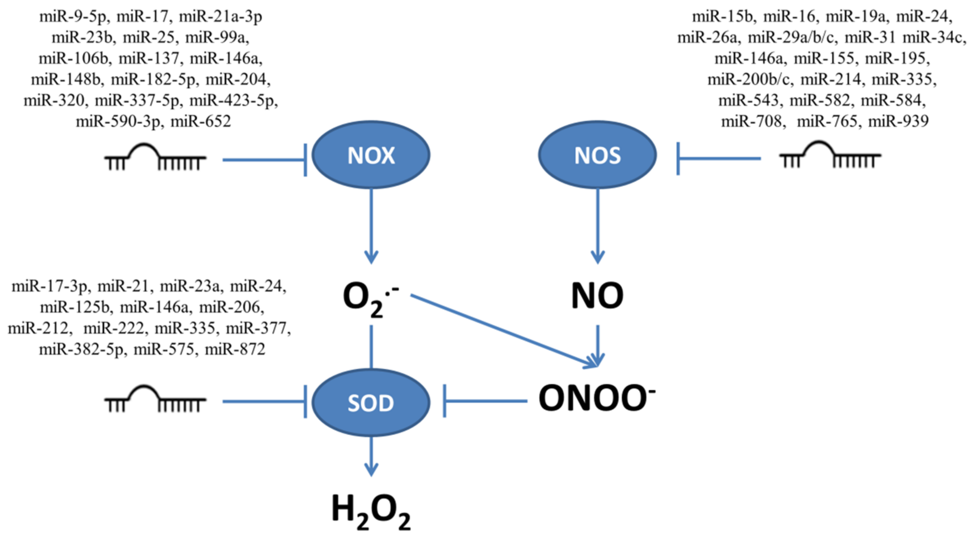 Ijms 22 06022 g002 Ijms 22 06022 g002