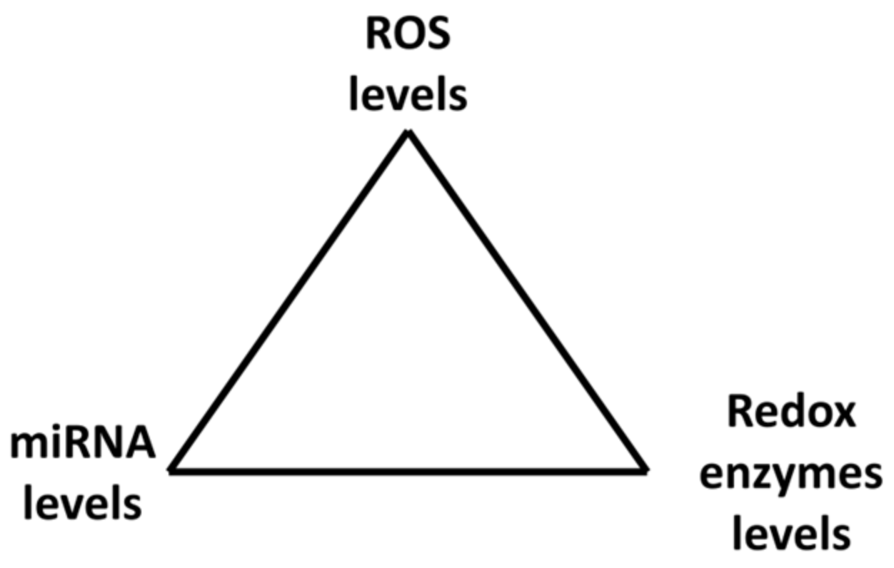 Ijms 22 06022 g004 Ijms 22 06022 g004