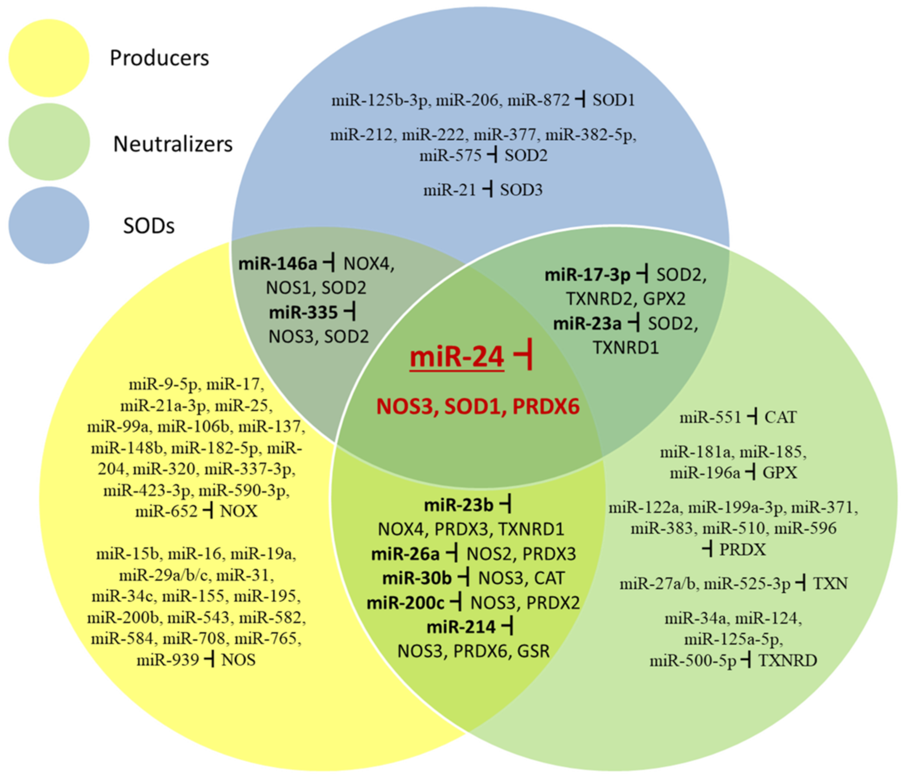 Ijms 22 06022 g005 Ijms 22 06022 g005