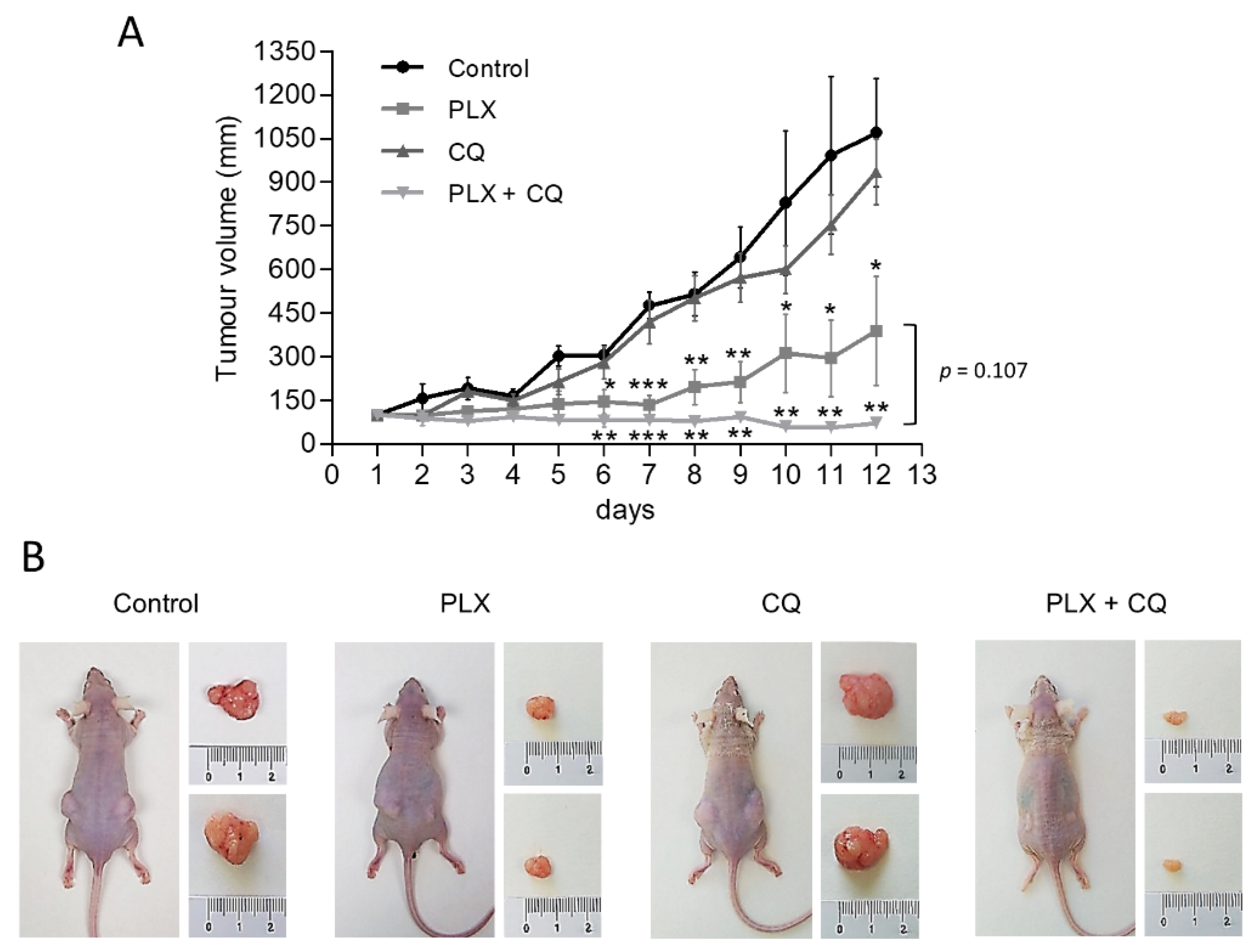 Ijms 22 06033 g005 Ijms 22 06033 g005