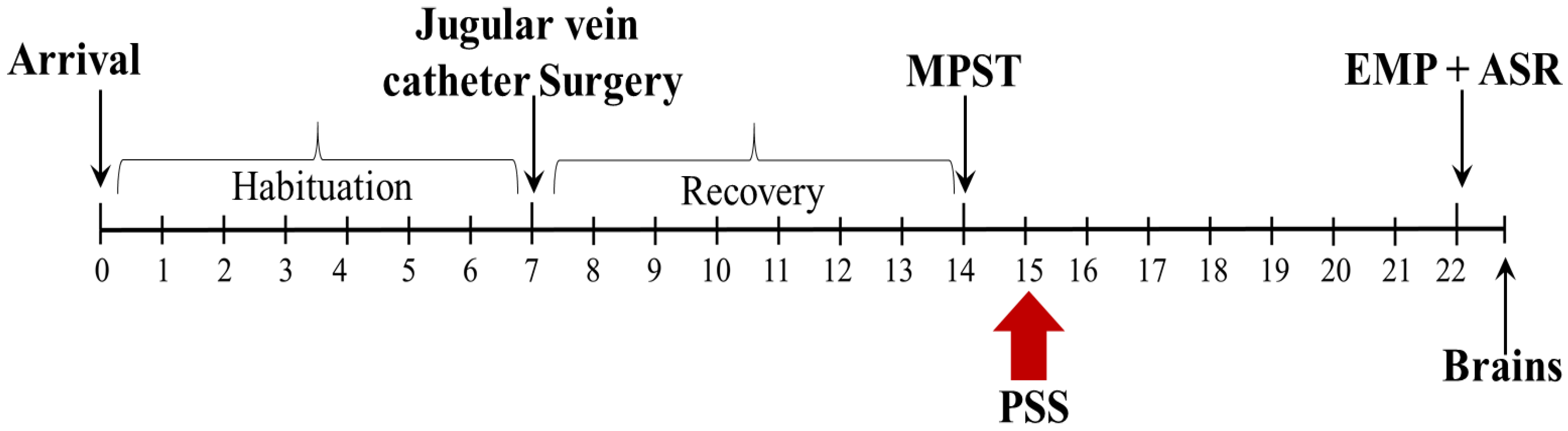Ijms 22 06050 g001 Ijms 22 06050 g001