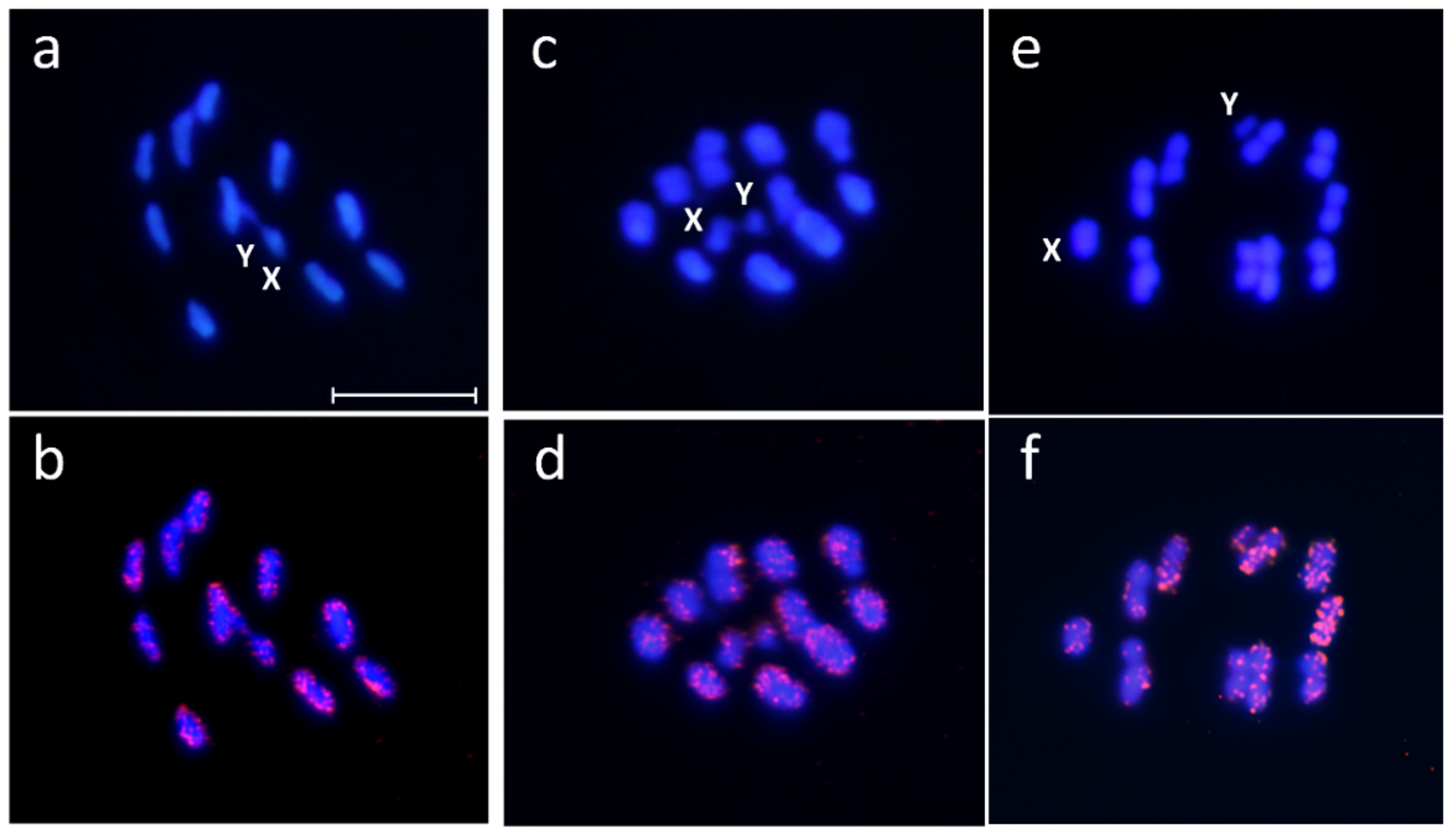 Ijms 22 06052 g006 Ijms 22 06052 g006