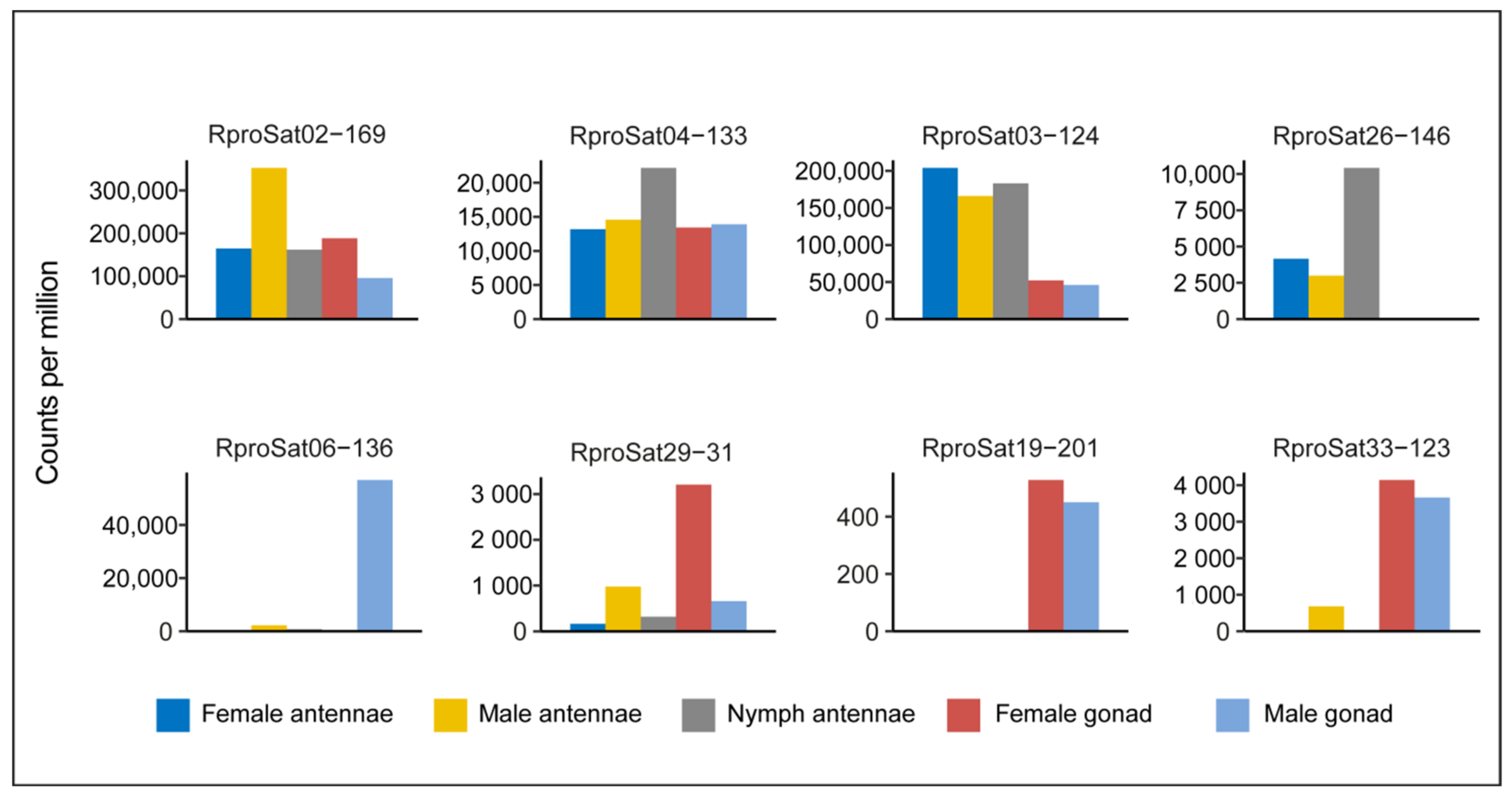 Ijms 22 06052 g007 Ijms 22 06052 g007