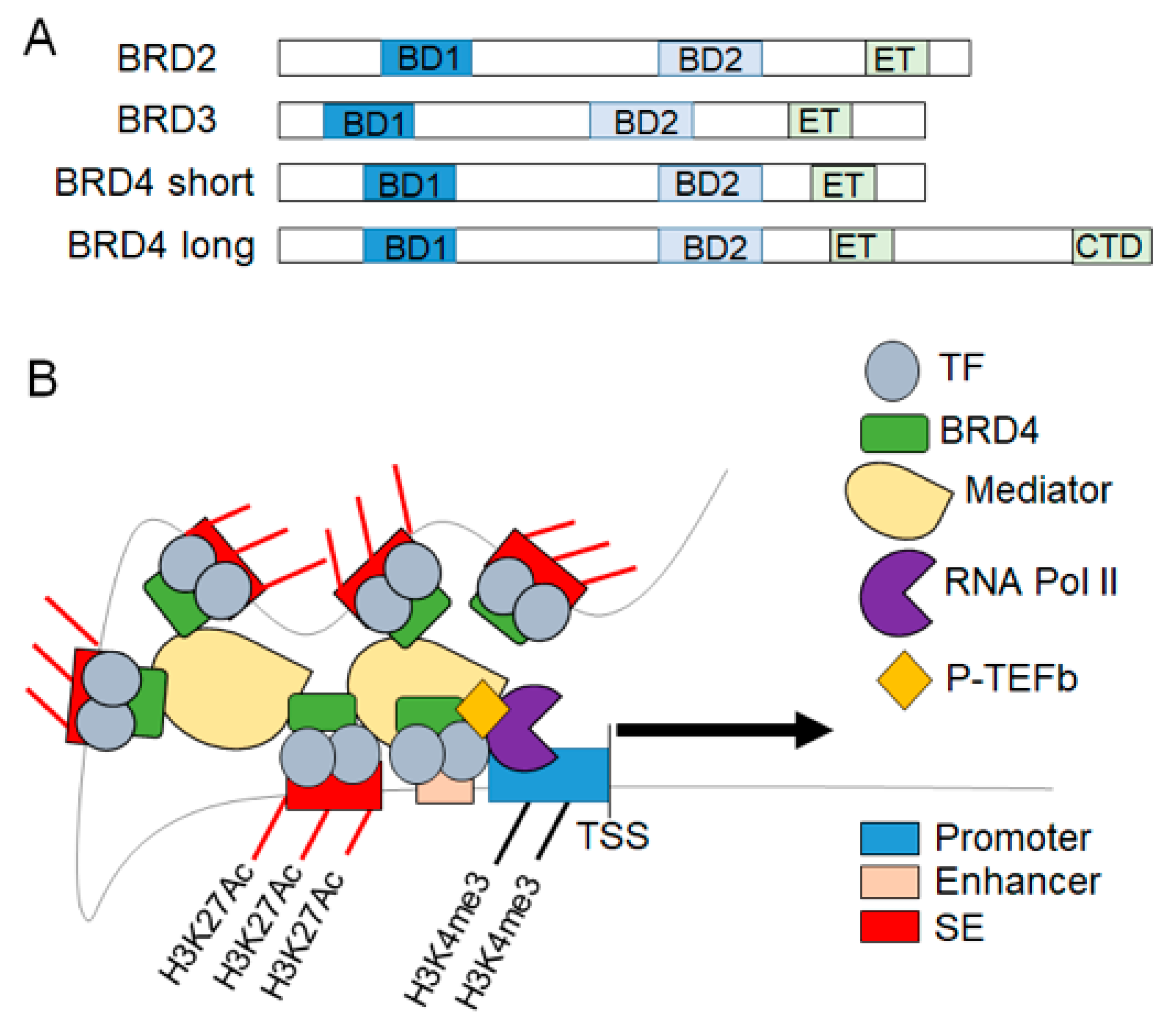 Ijms 22 06059 g002 Ijms 22 06059 g002
