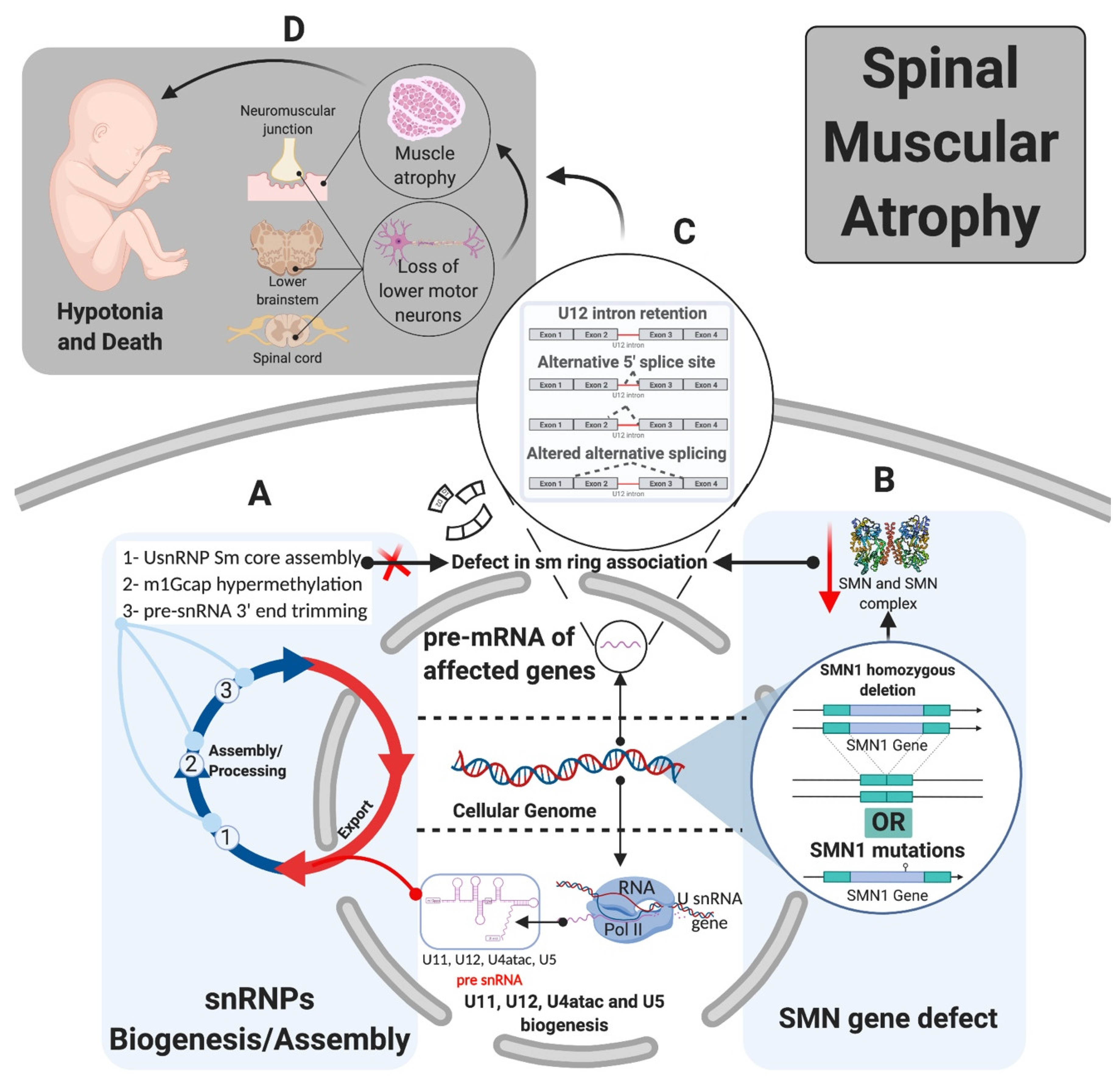 Ijms 22 06062 g005 Ijms 22 06062 g005
