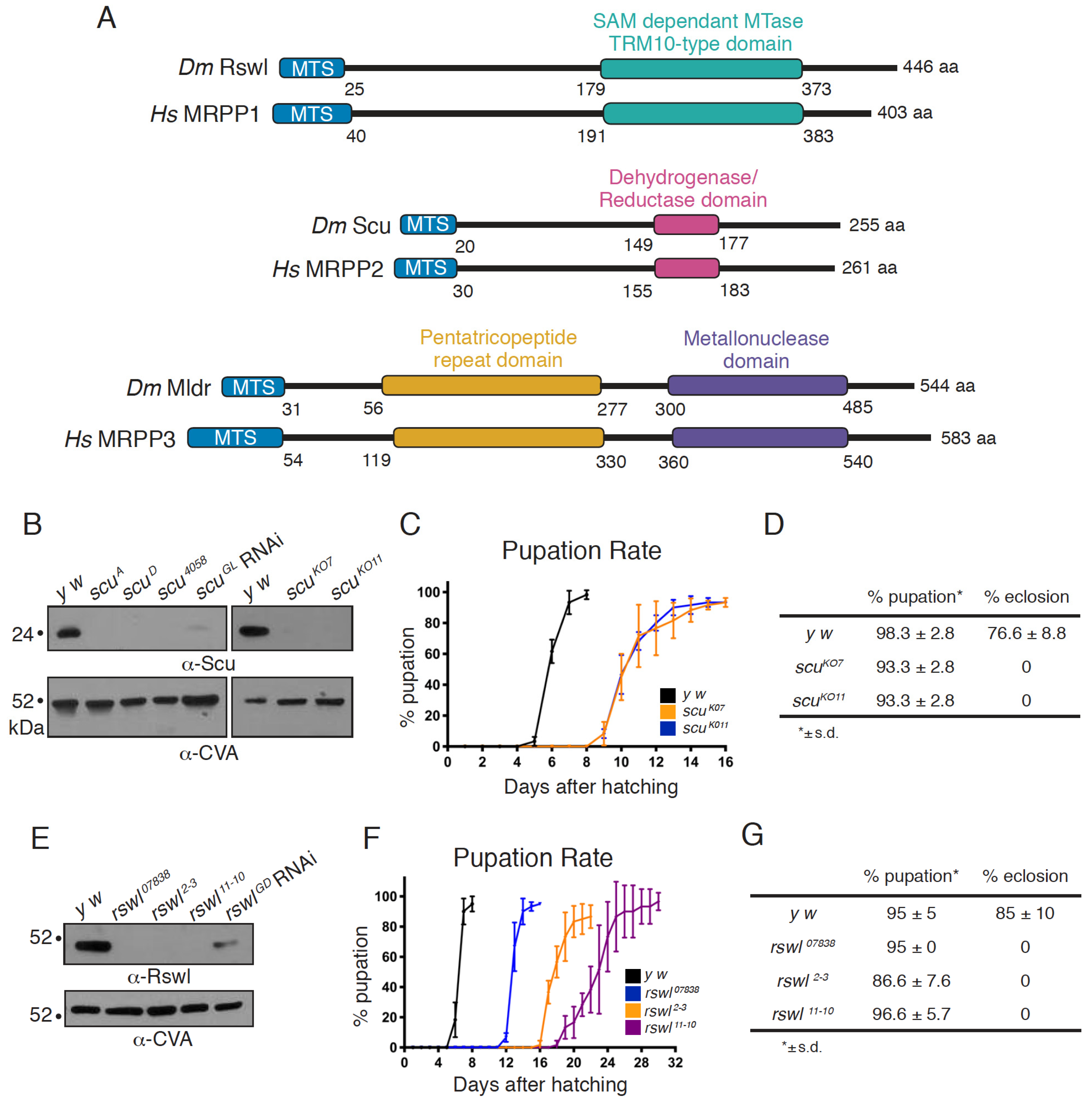Ijms 22 06066 g001 Ijms 22 06066 g001