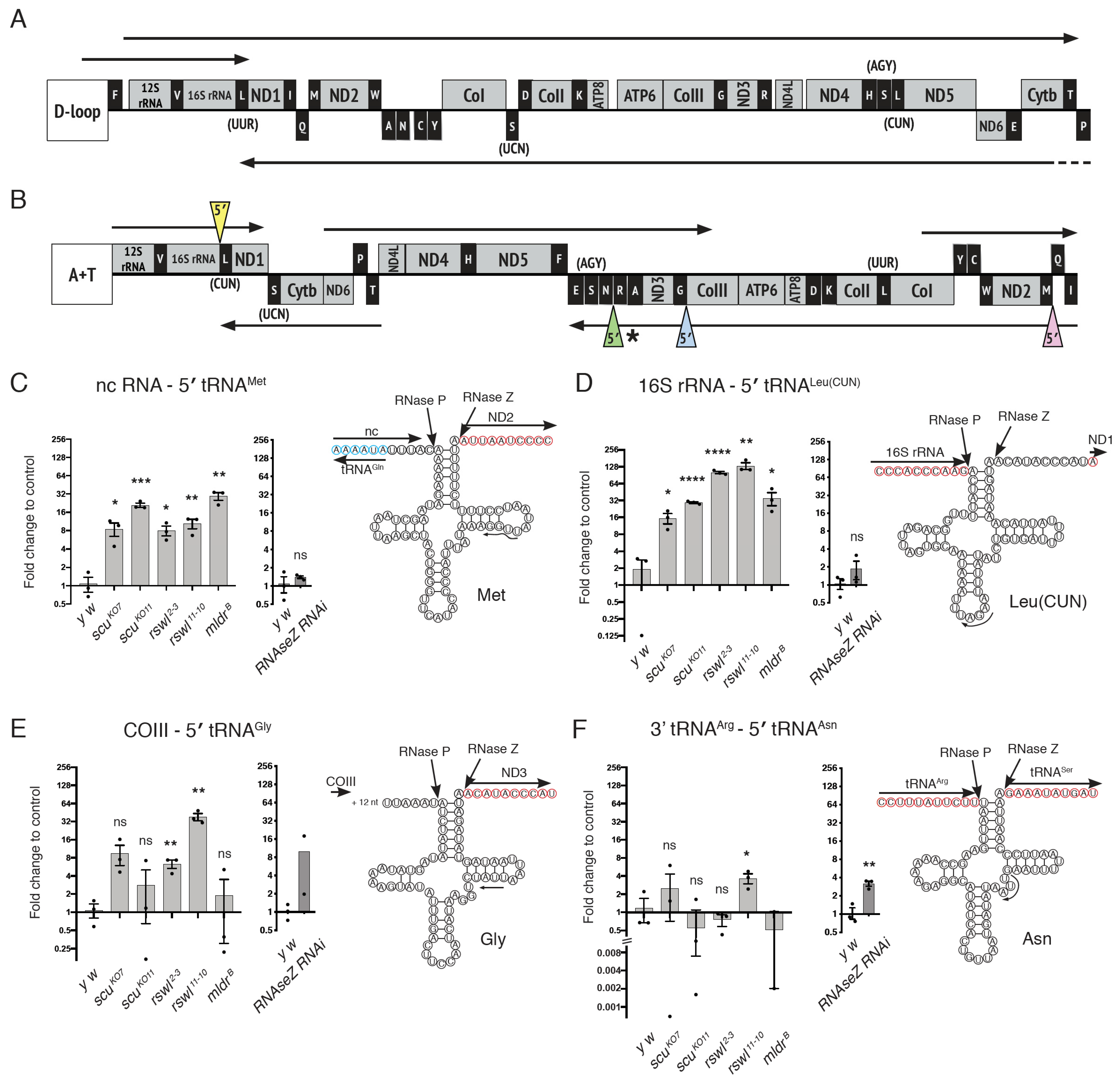 Ijms 22 06066 g003 Ijms 22 06066 g003
