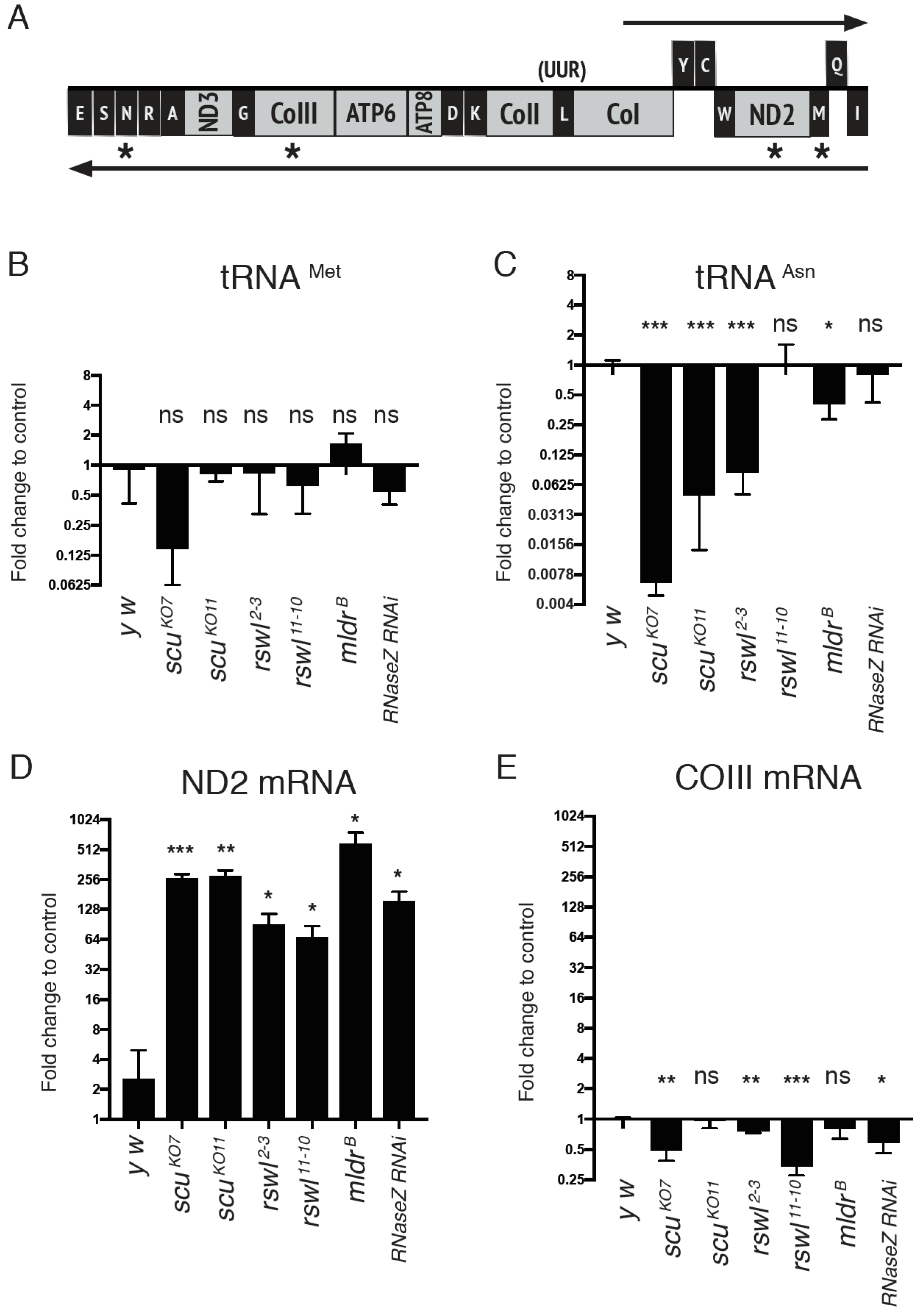 Ijms 22 06066 g005 Ijms 22 06066 g005