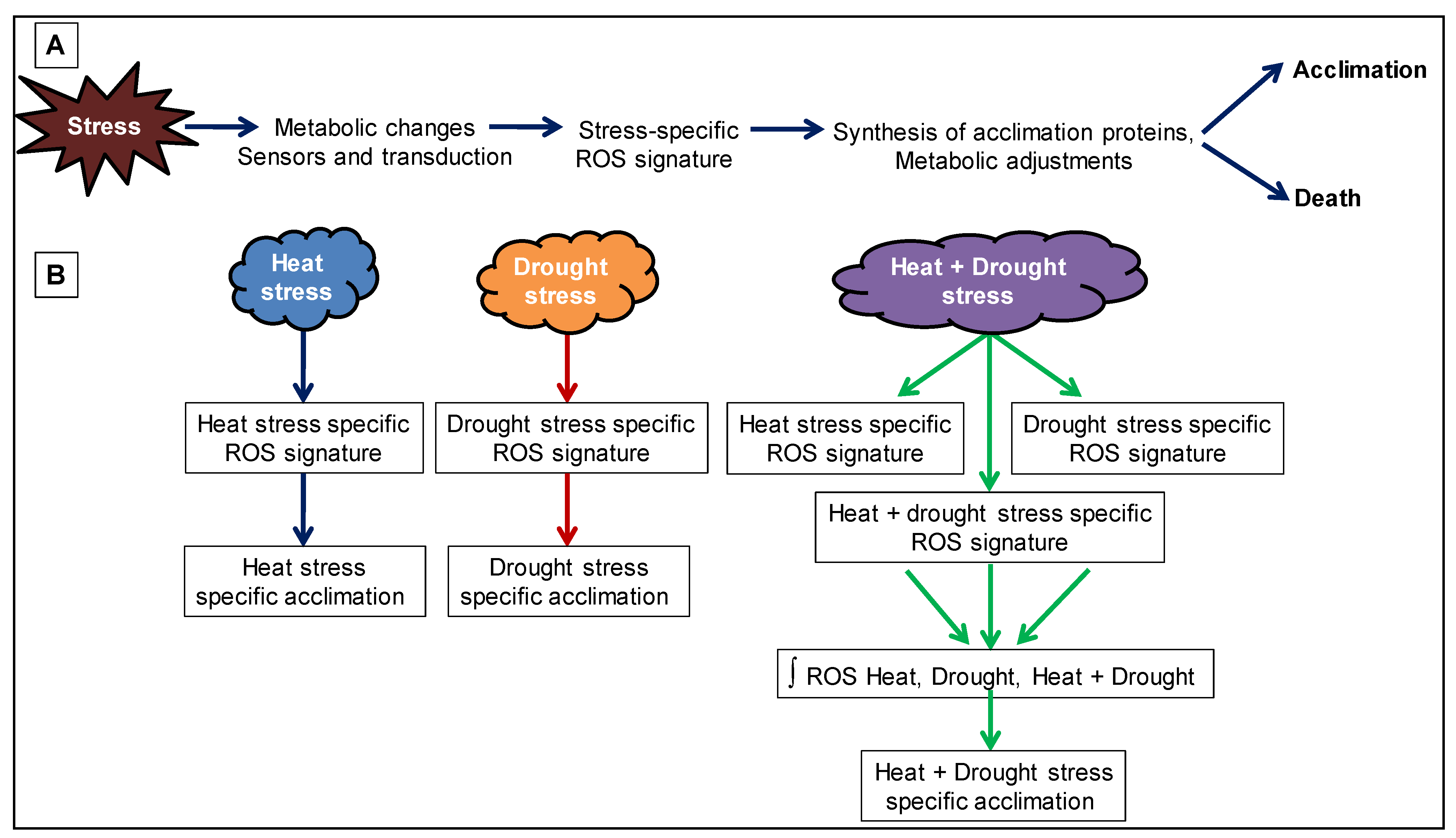 Ijms 22 06119 g003 Ijms 22 06119 g003