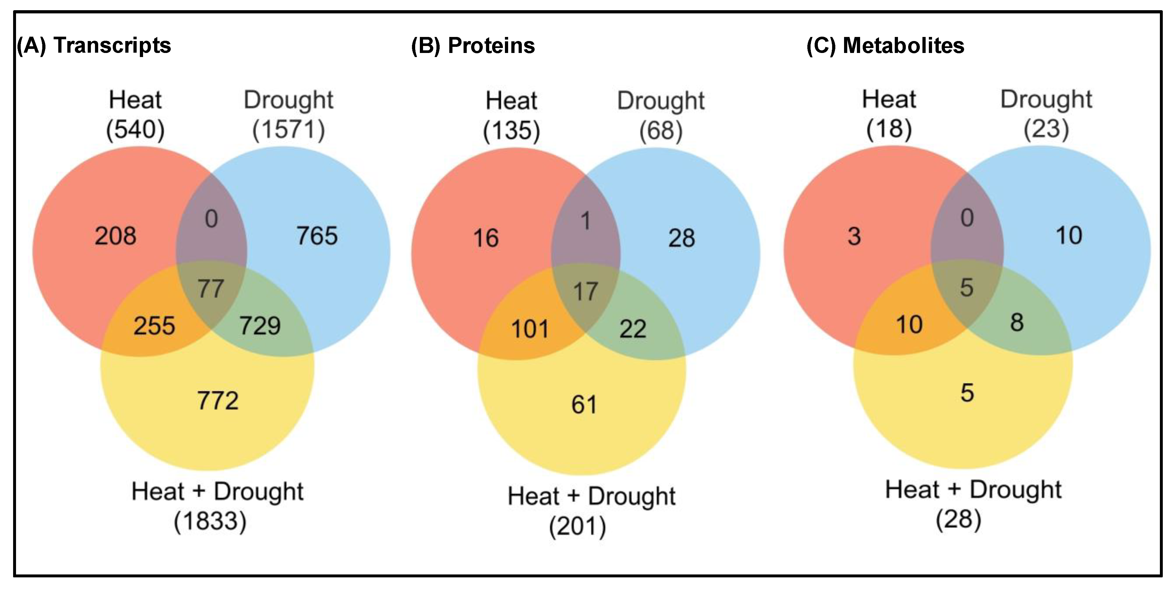 Ijms 22 06119 g004 Ijms 22 06119 g004