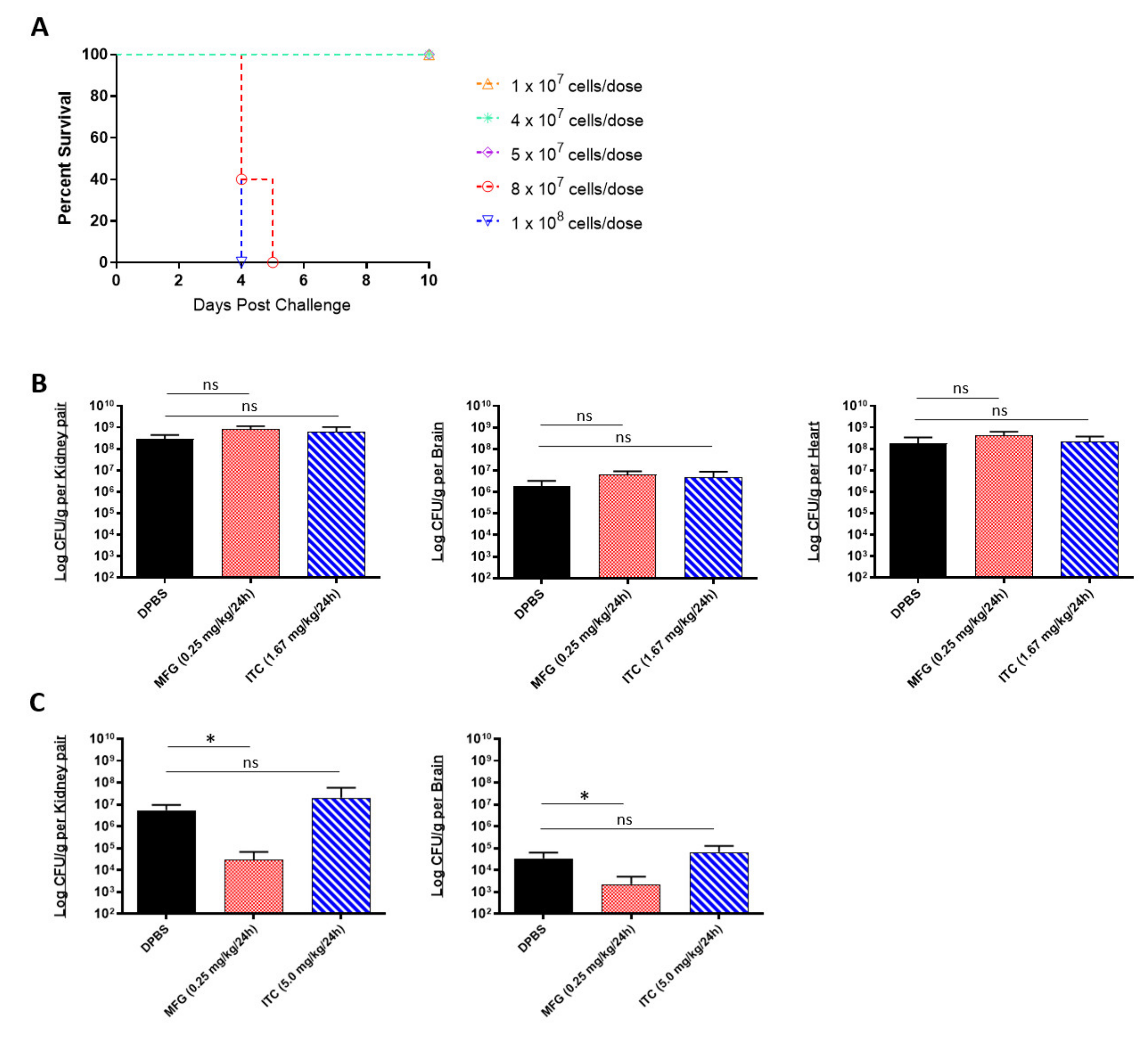 Ijms 22 06162 g001 Ijms 22 06162 g001