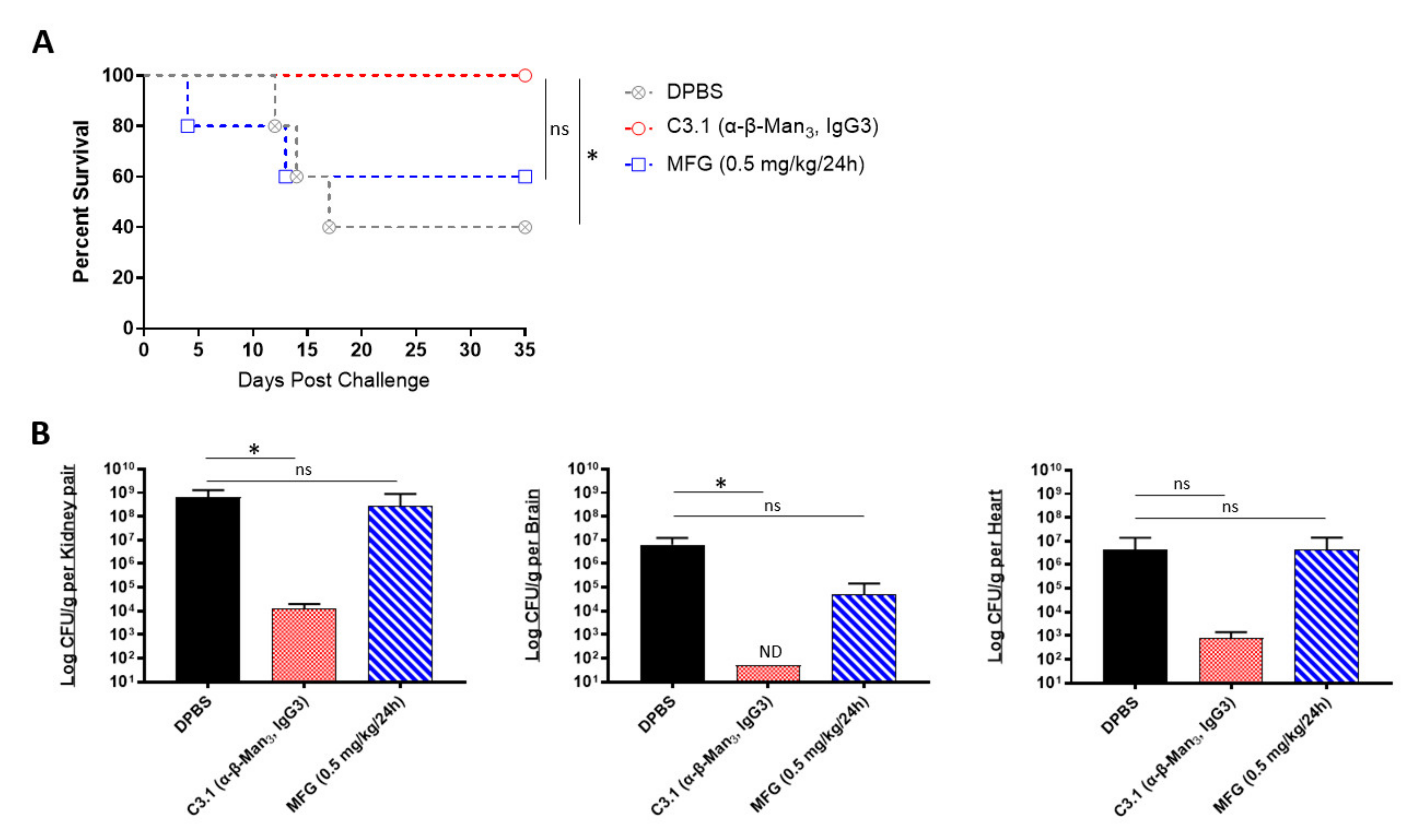 Ijms 22 06162 g003 Ijms 22 06162 g003