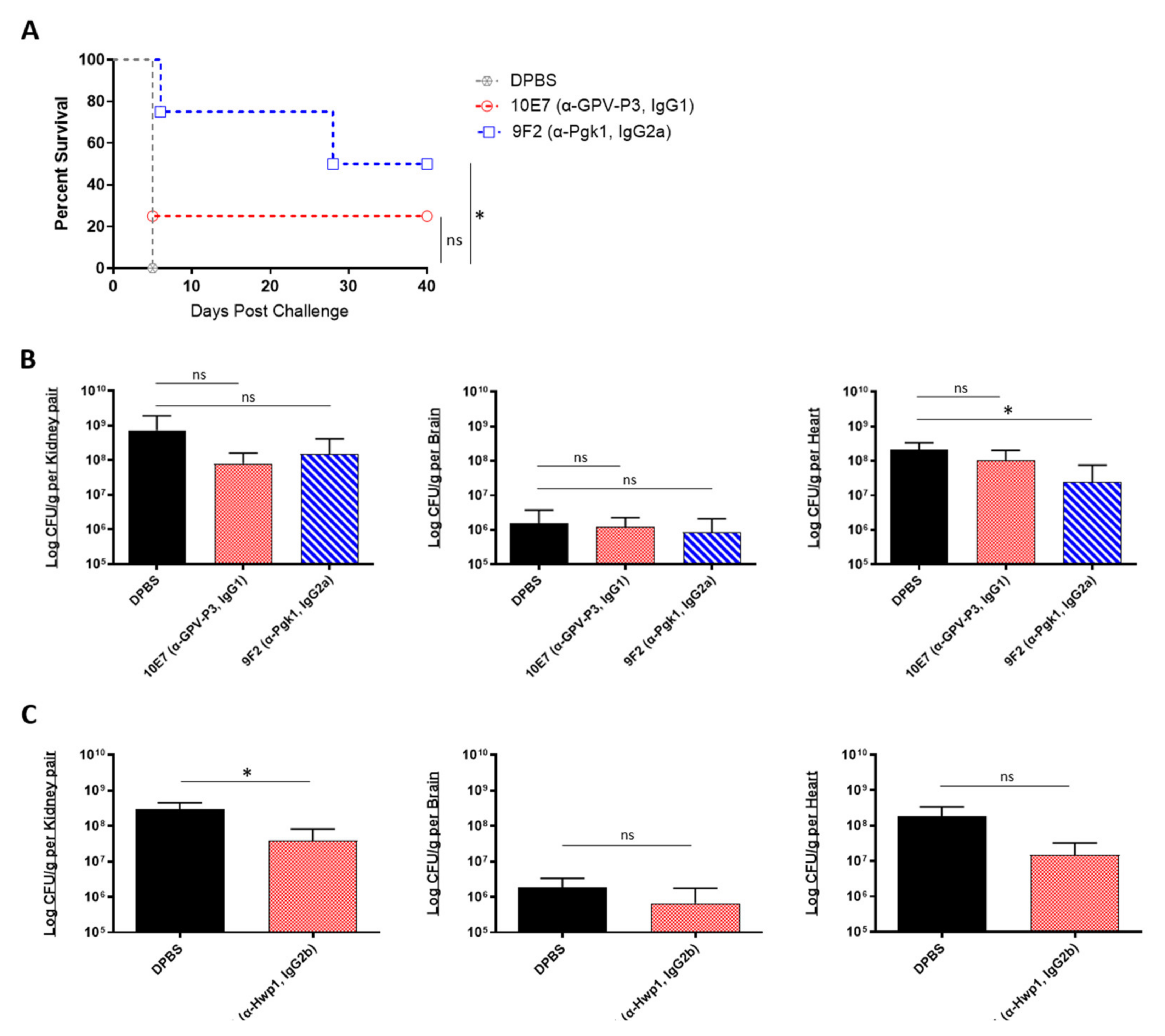 Ijms 22 06162 g004 Ijms 22 06162 g004