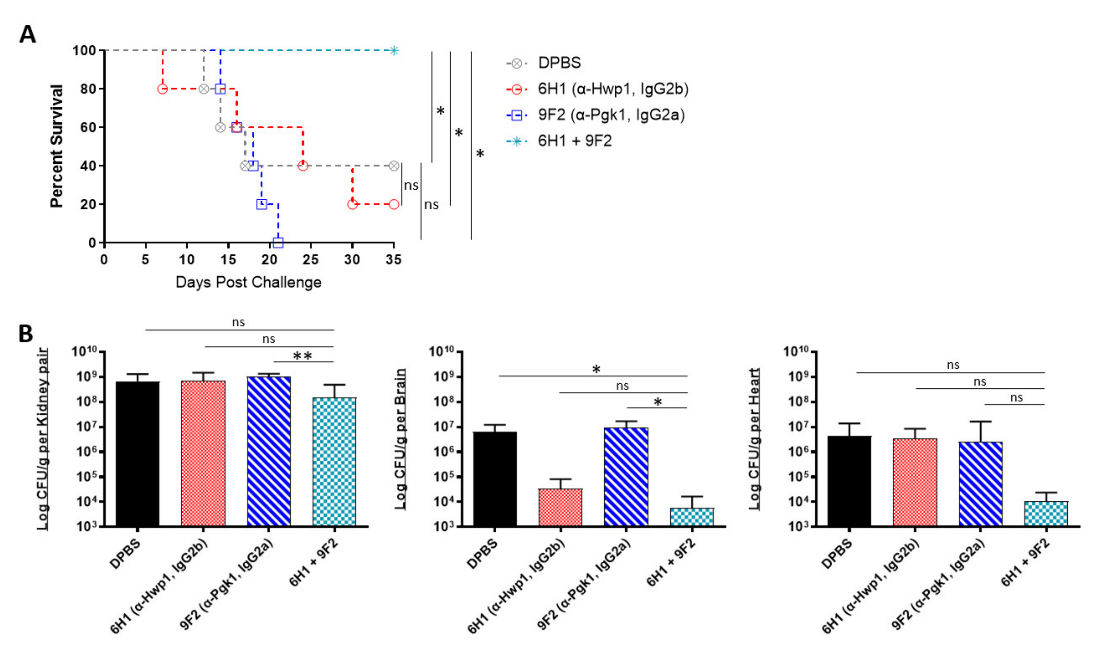 Ijms 22 06162 g005 Ijms 22 06162 g005