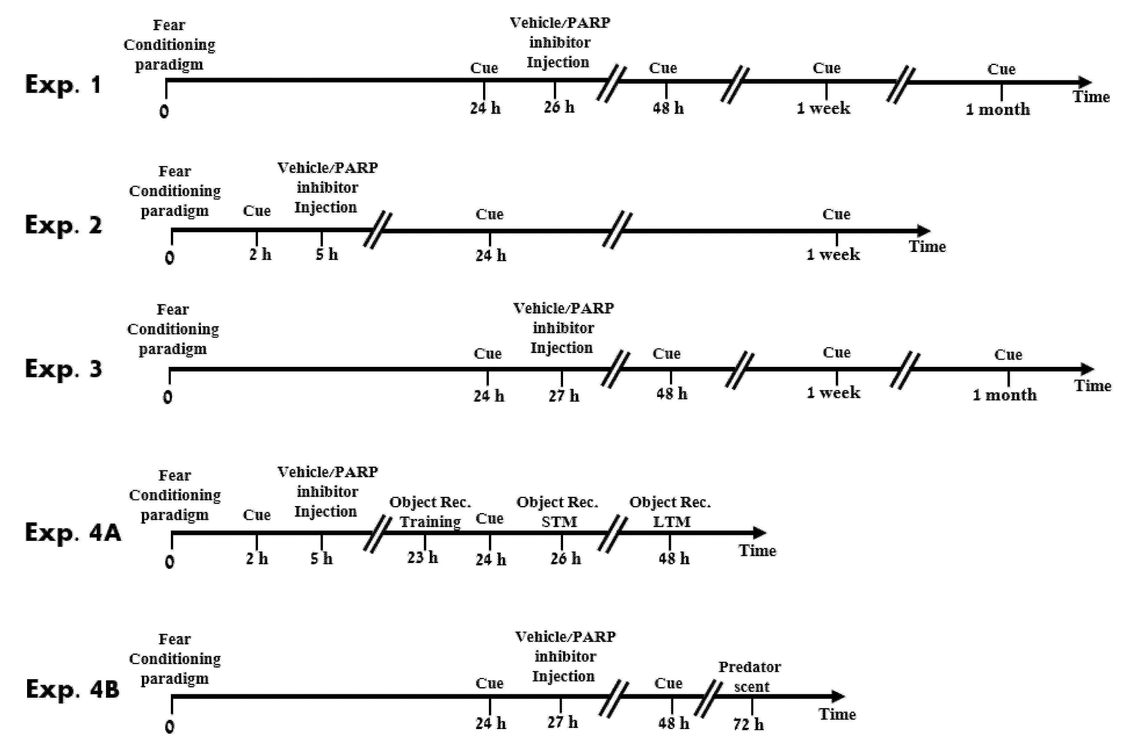 Ijms 22 06170 g001 Ijms 22 06170 g001