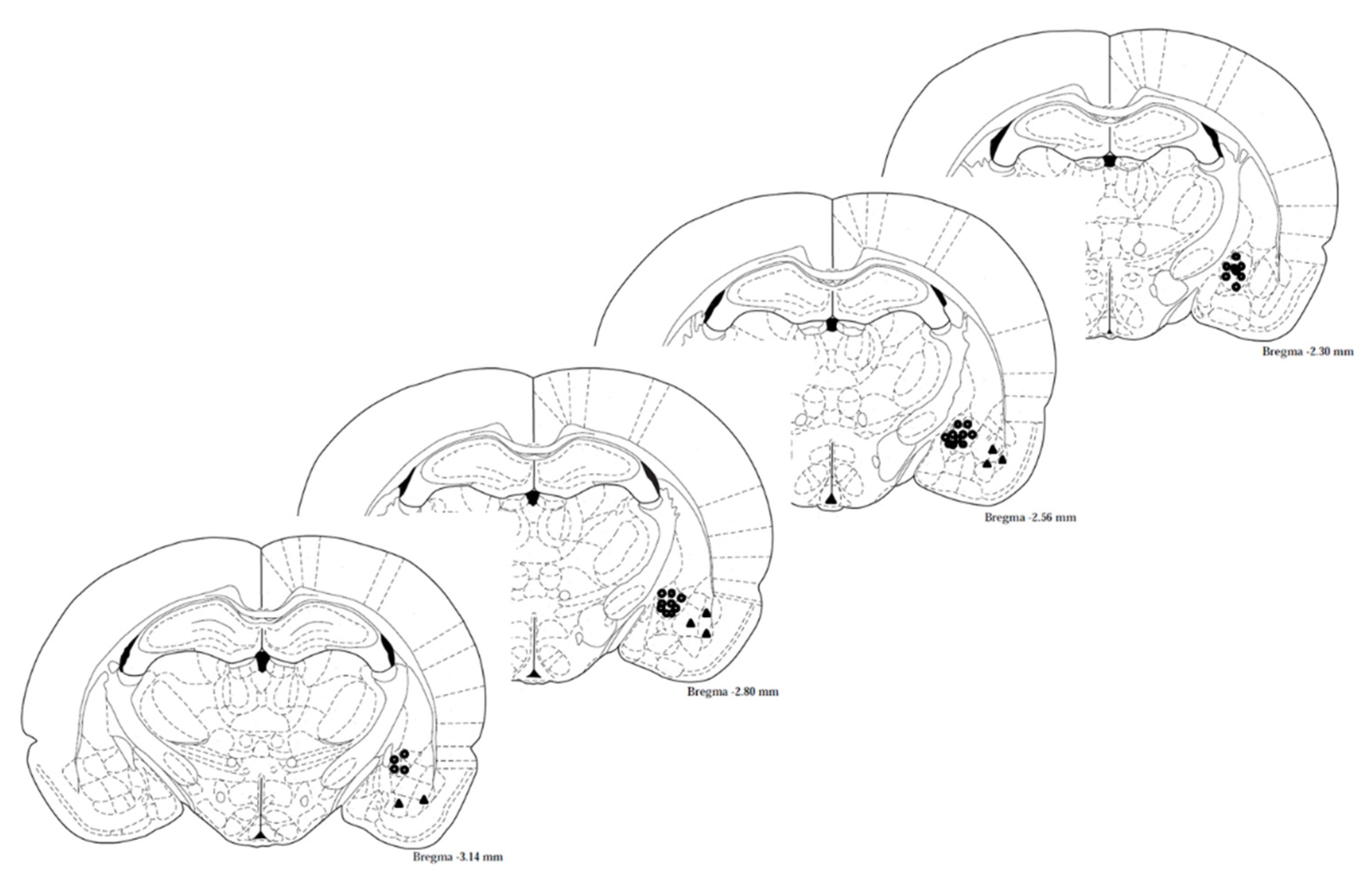 Ijms 22 06170 g008 Ijms 22 06170 g008