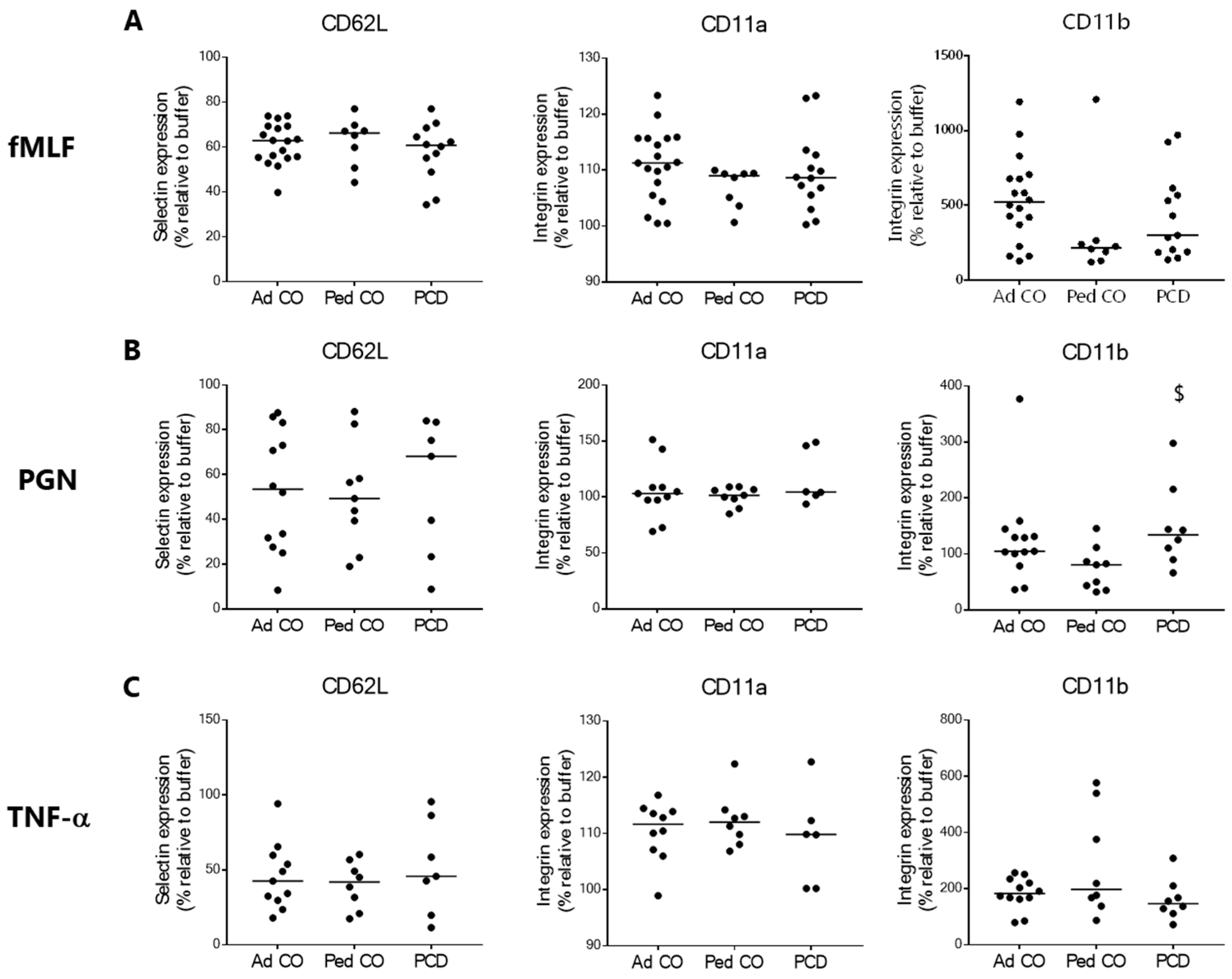 Ijms 22 06172 g004 Ijms 22 06172 g004