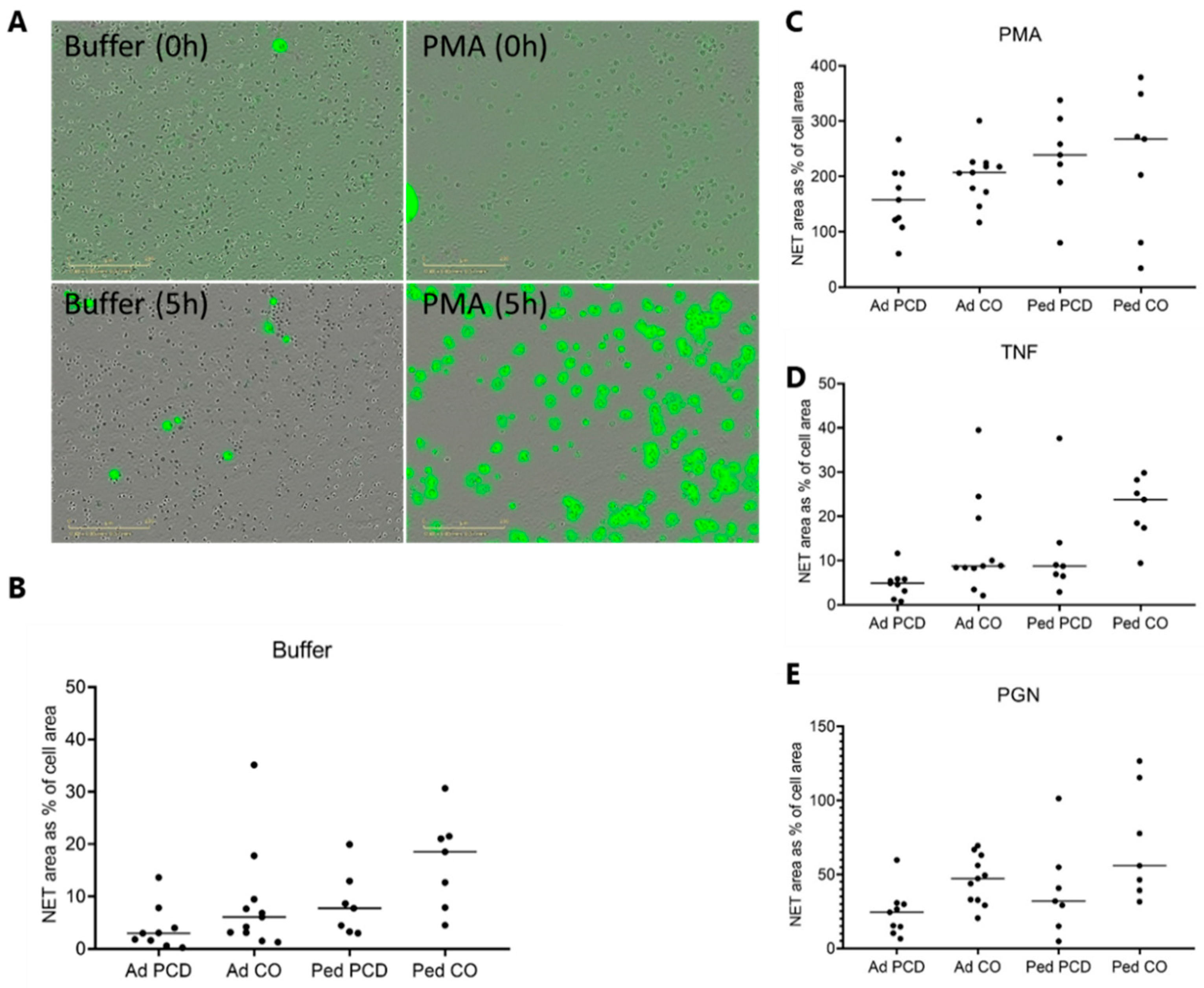 Ijms 22 06172 g007 Ijms 22 06172 g007