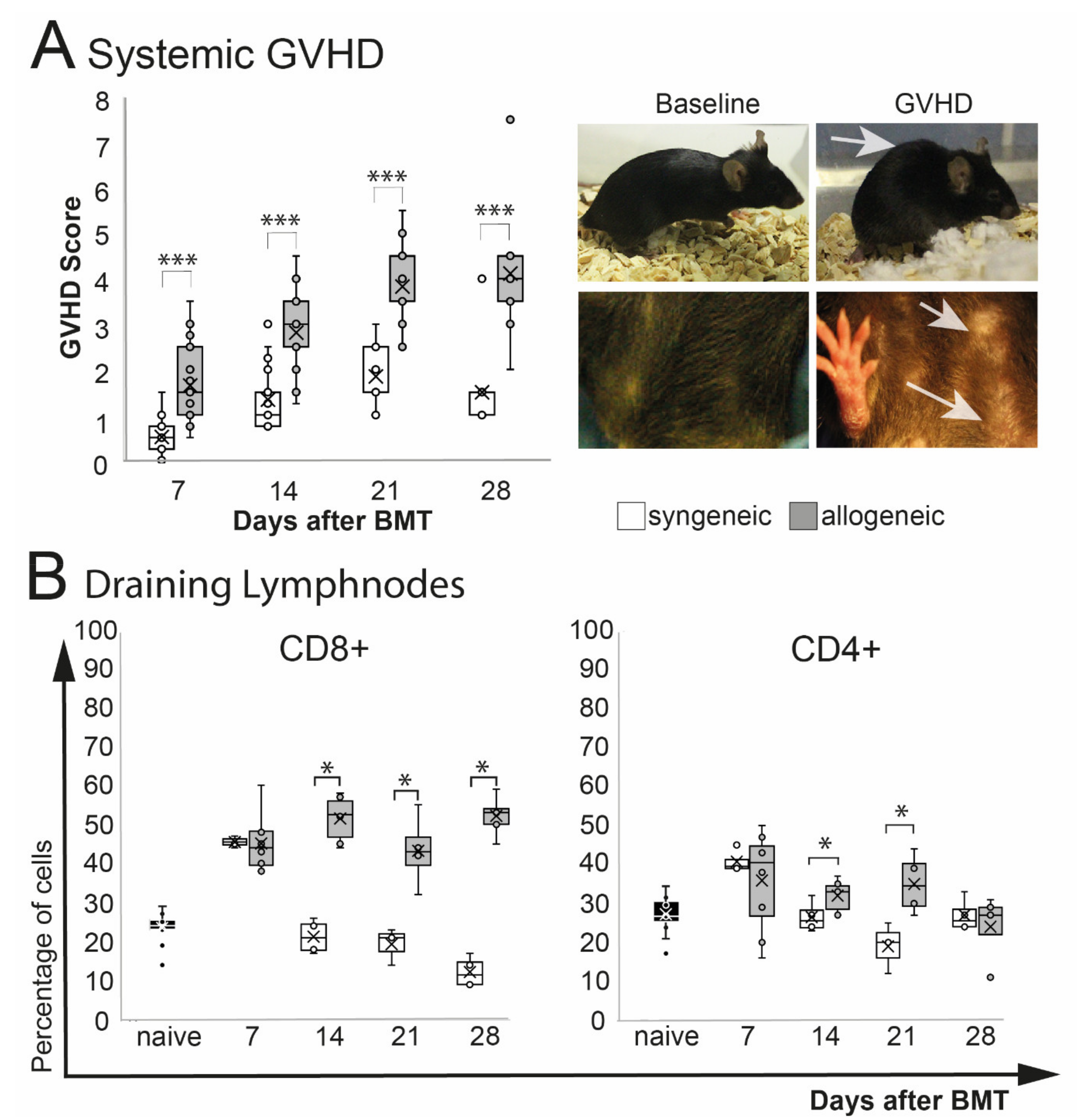Ijms 22 06191 g001 Ijms 22 06191 g001