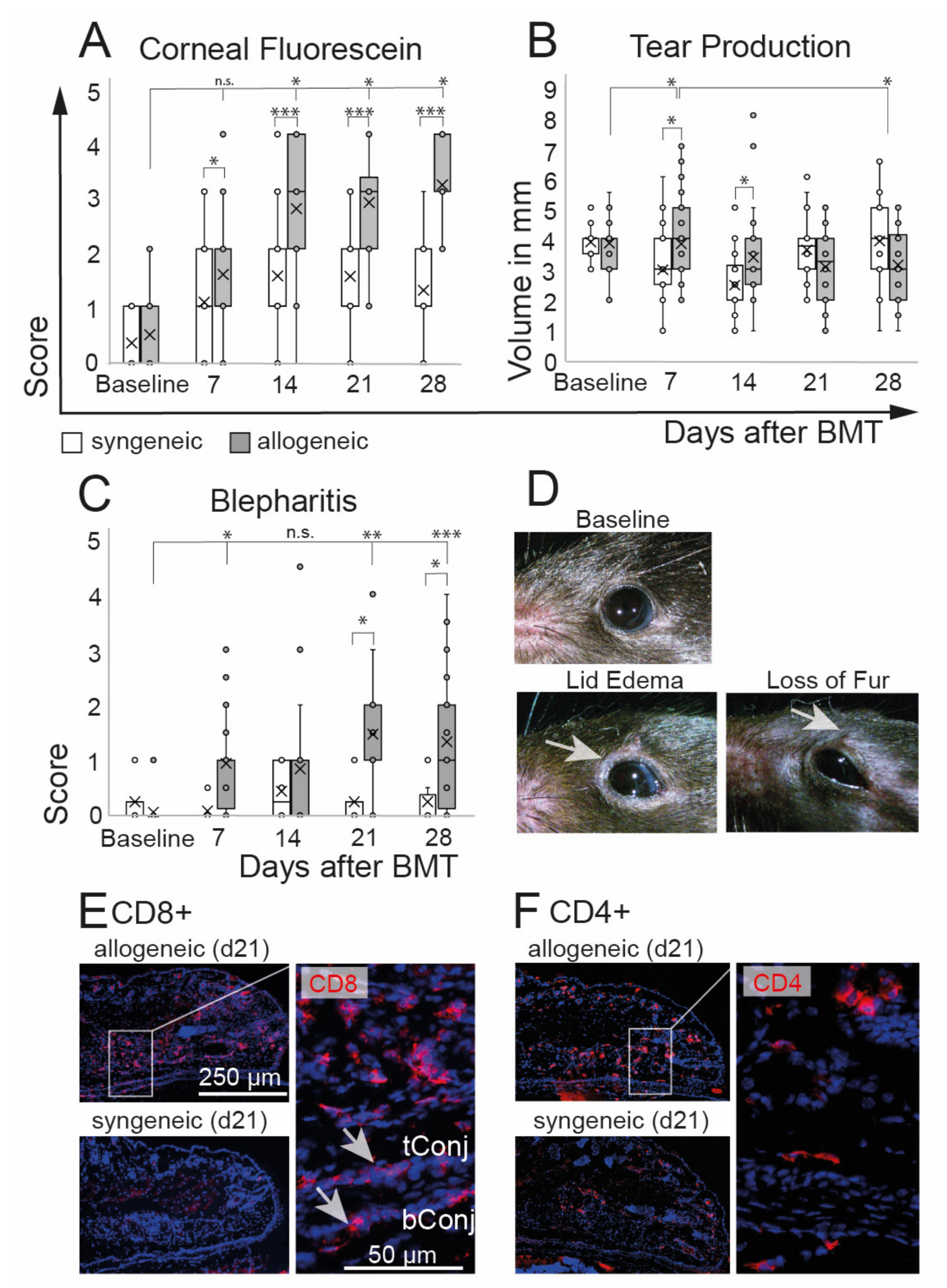 Ijms 22 06191 g002 Ijms 22 06191 g002