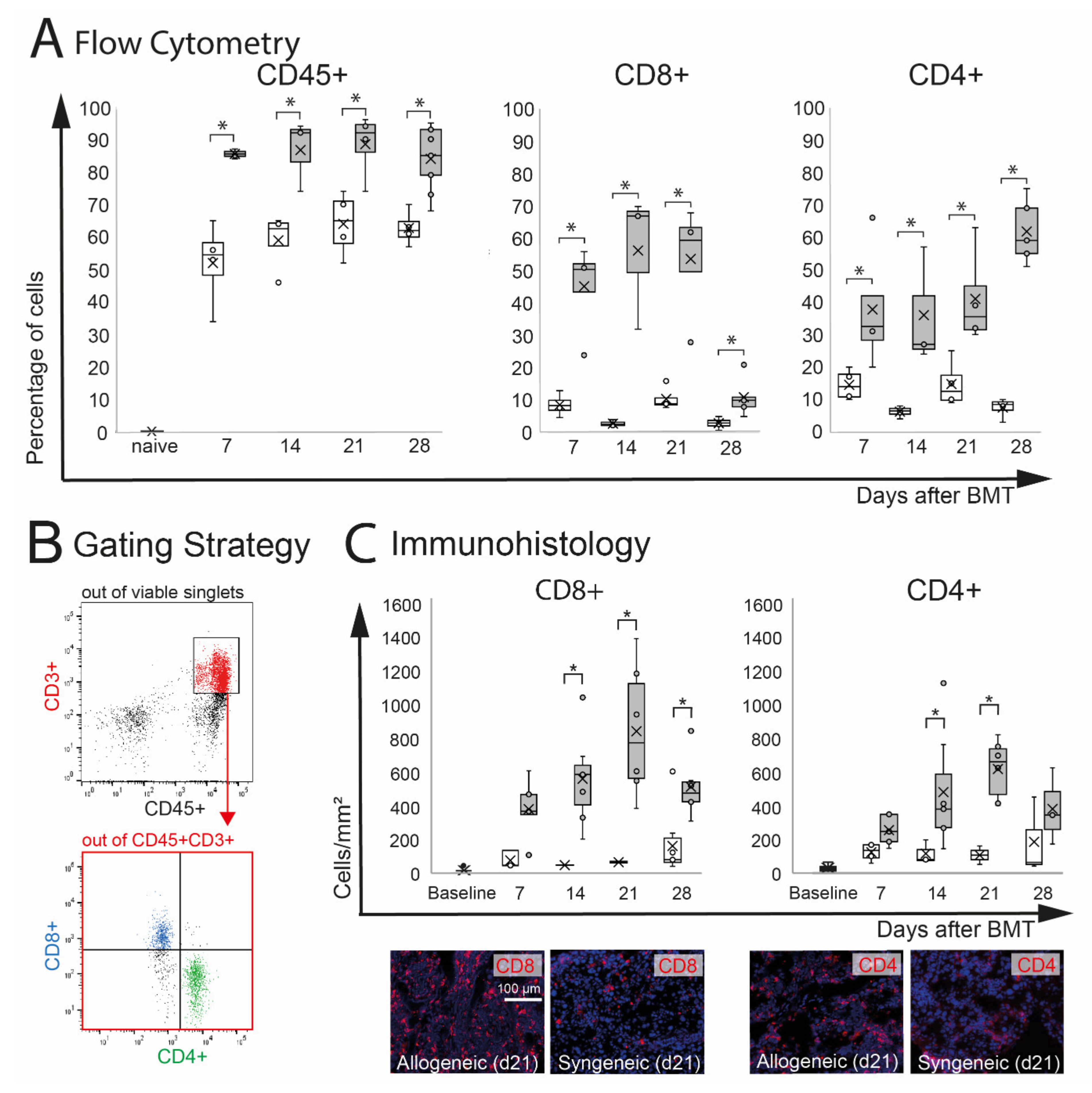 Ijms 22 06191 g003 Ijms 22 06191 g003