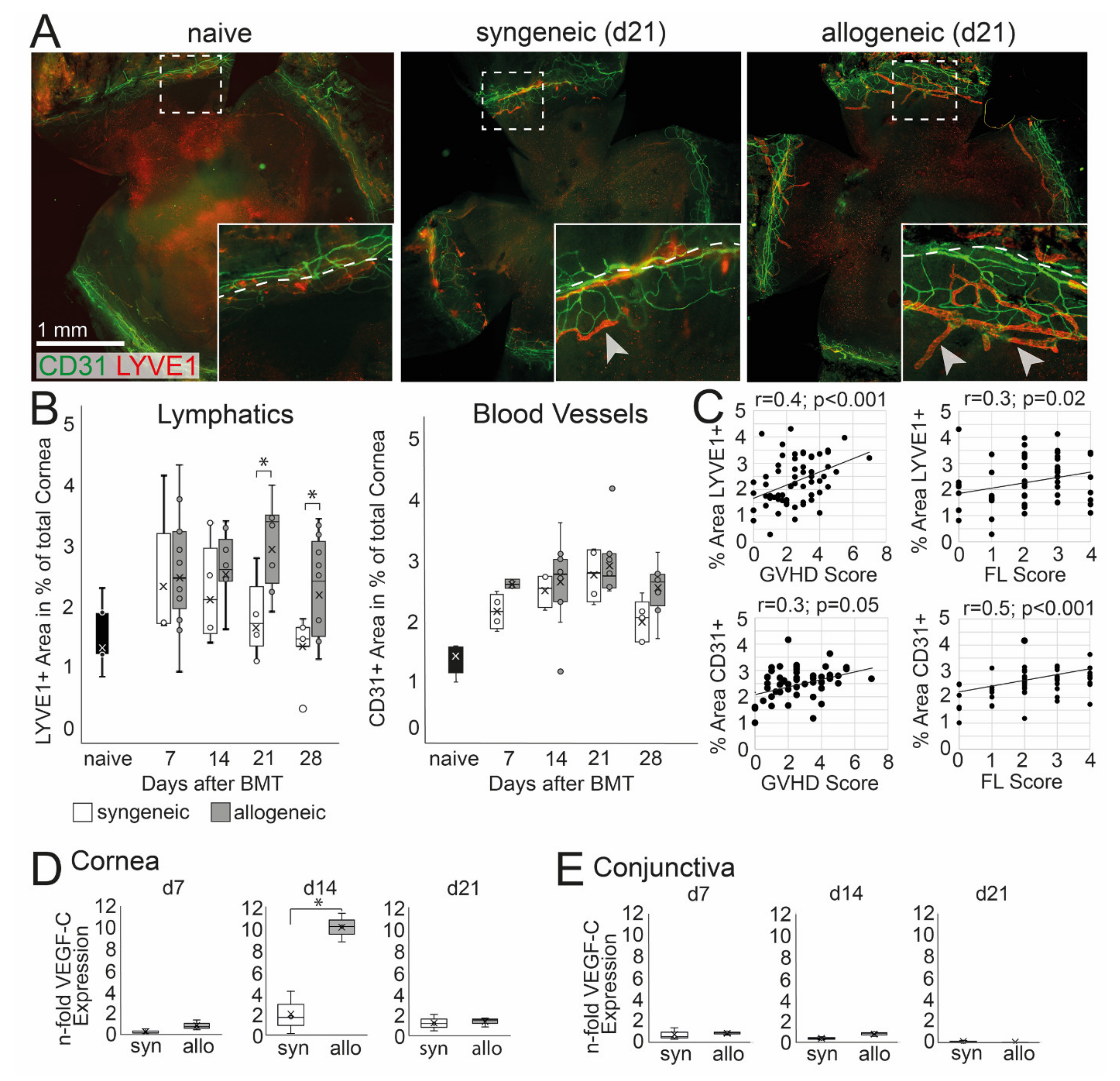 Ijms 22 06191 g004 Ijms 22 06191 g004
