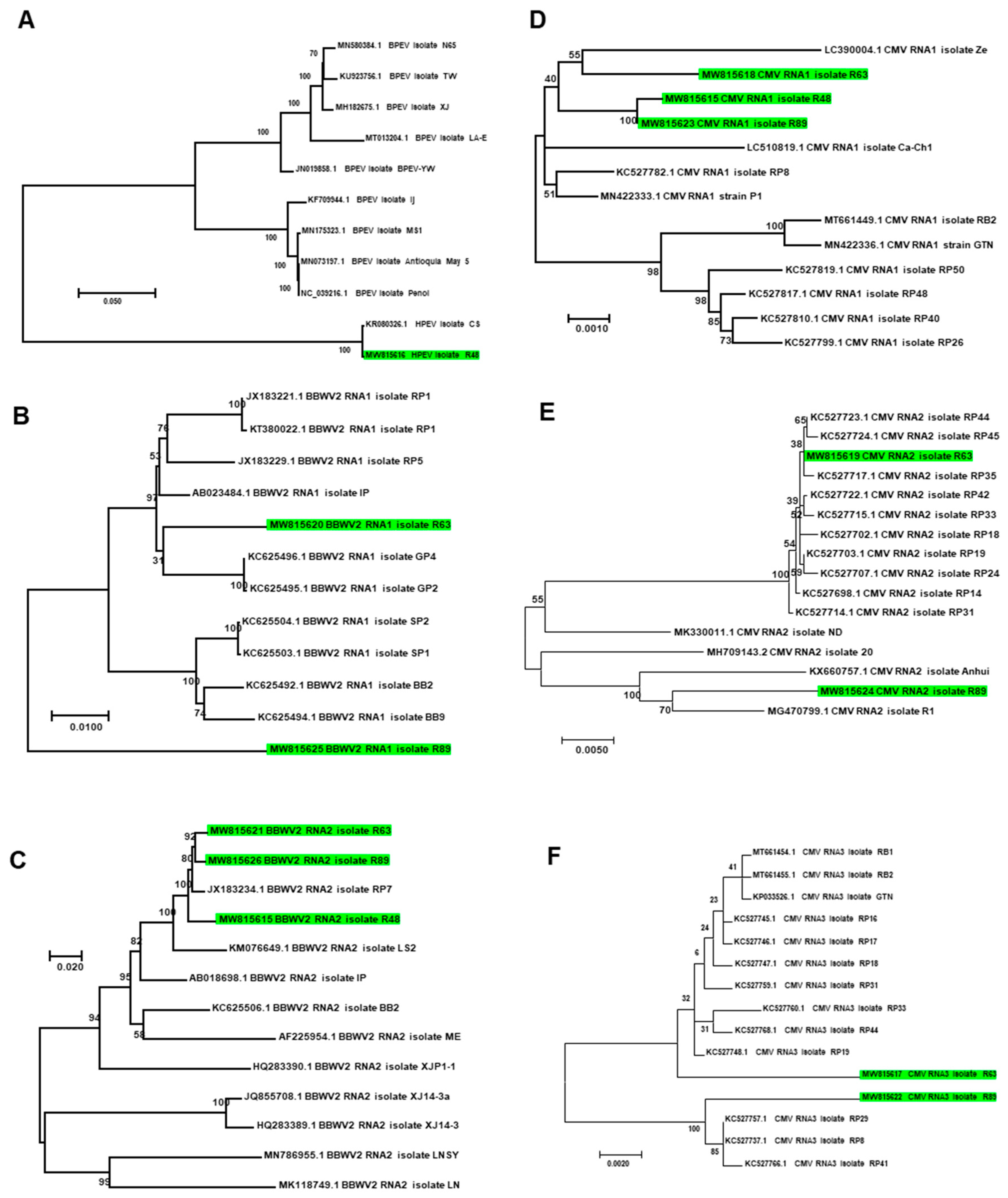 Ijms 22 06202 g011 Ijms 22 06202 g011