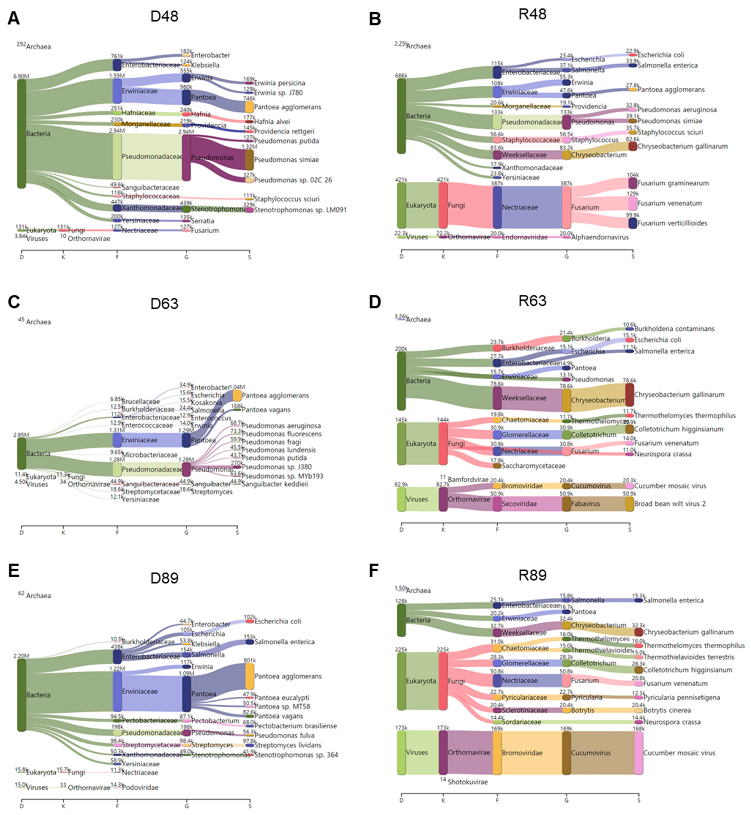 Ijms 22 06202 g012 Ijms 22 06202 g012