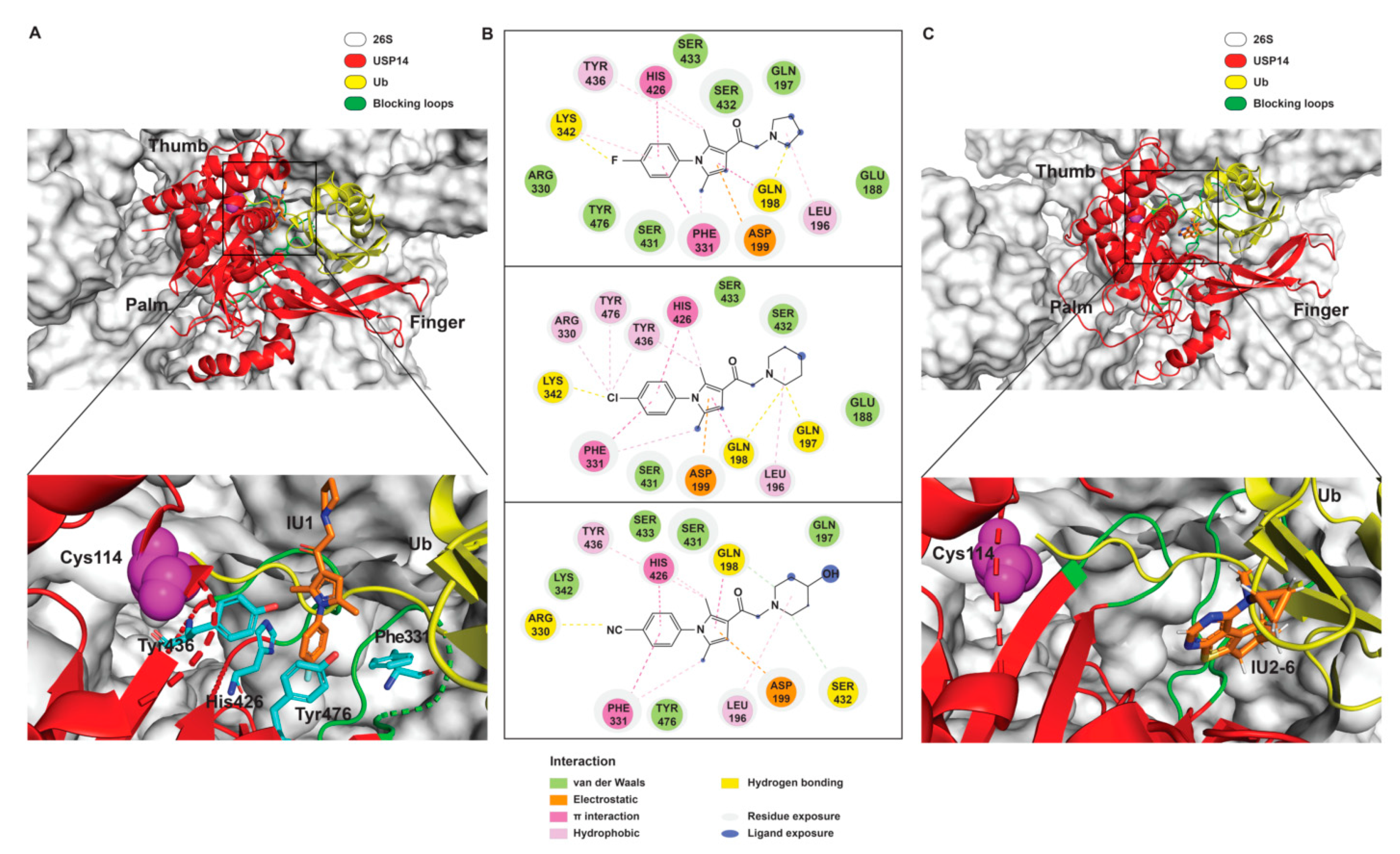 Ijms 22 06213 g002 Ijms 22 06213 g002