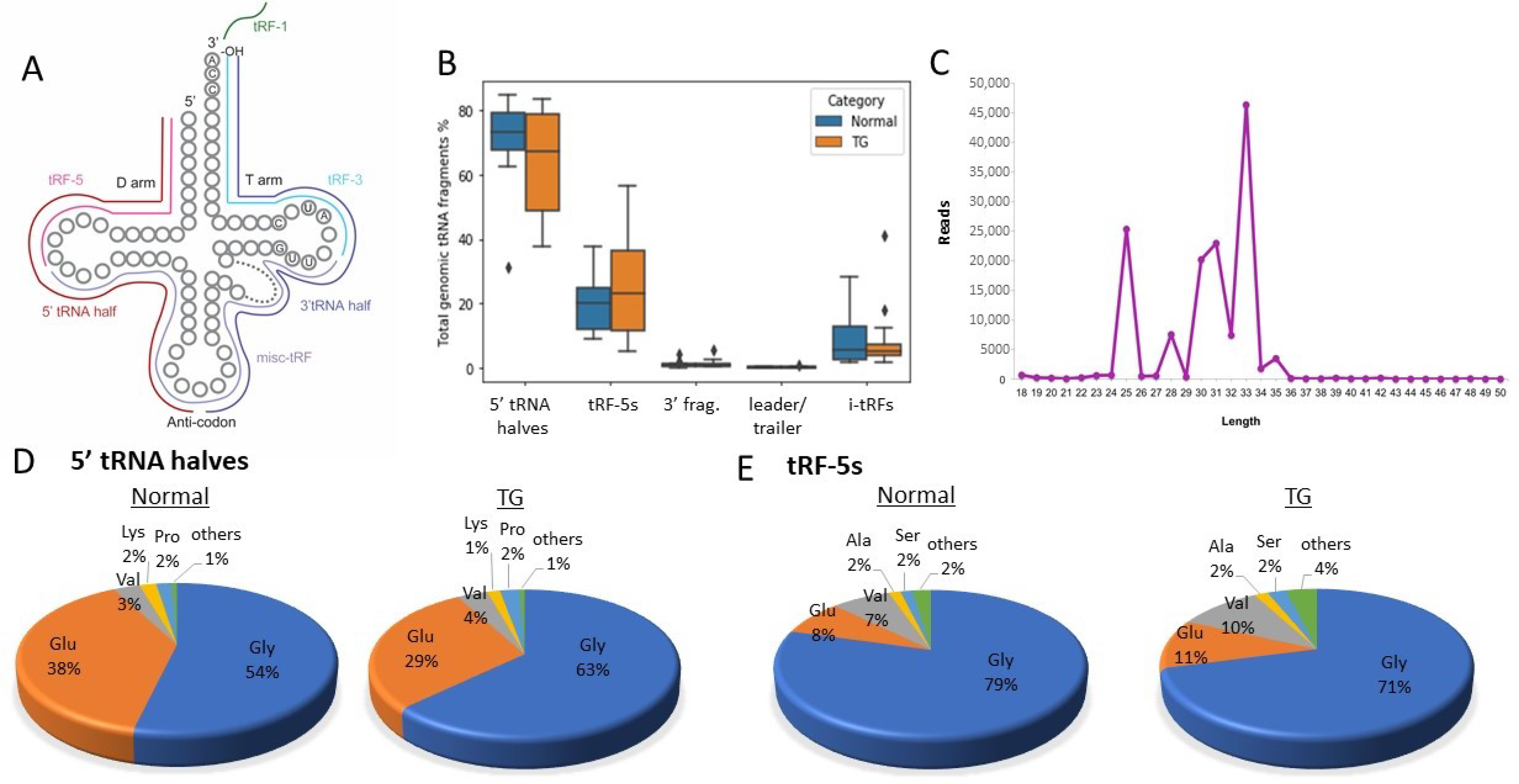 Ijms 22 06218 g002 Ijms 22 06218 g002