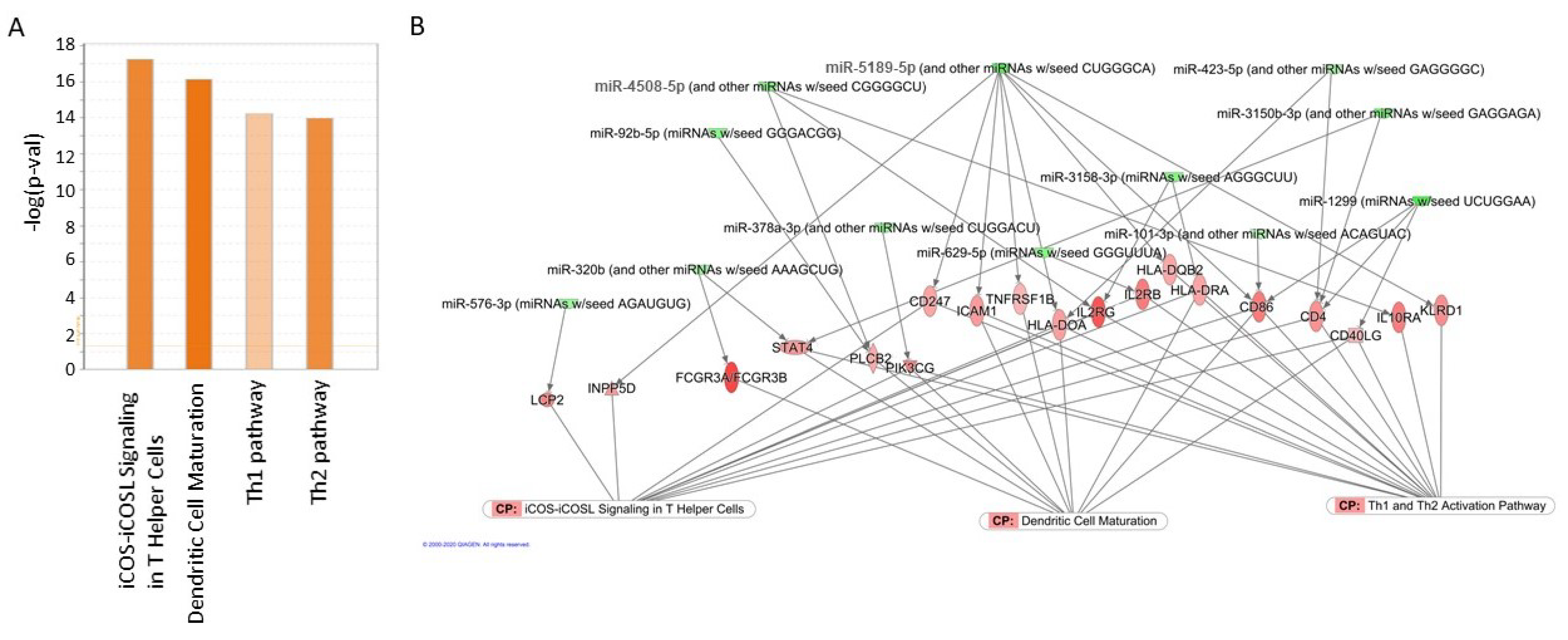 Ijms 22 06218 g006 Ijms 22 06218 g006