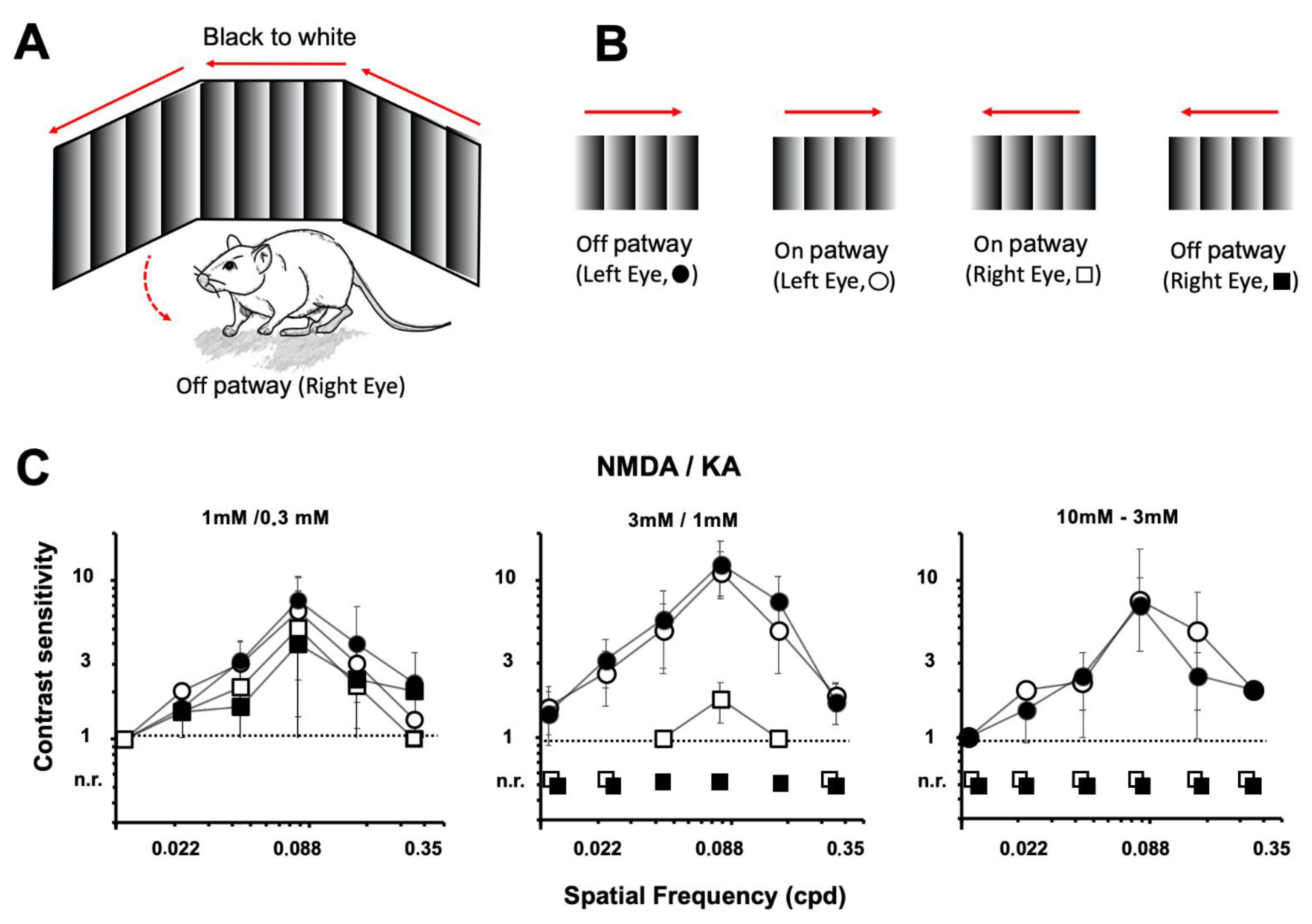 Ijms 22 06245 g008 Ijms 22 06245 g008