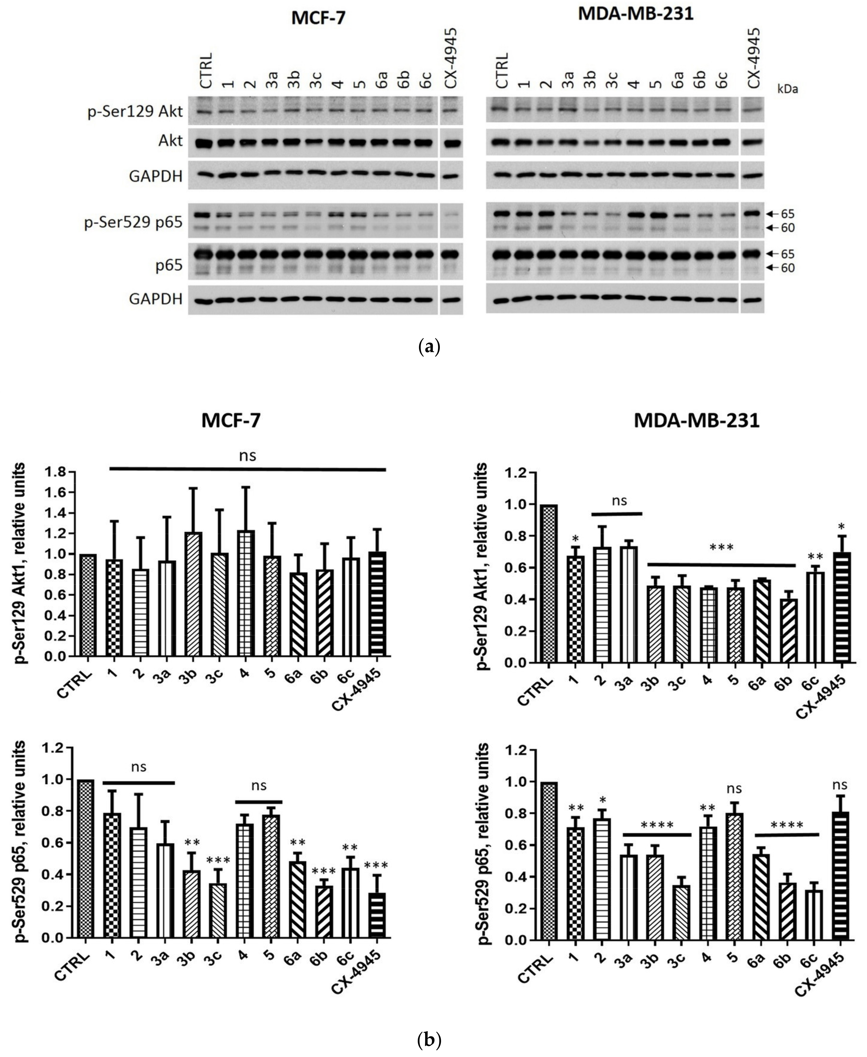 Ijms 22 06261 g005 Ijms 22 06261 g005