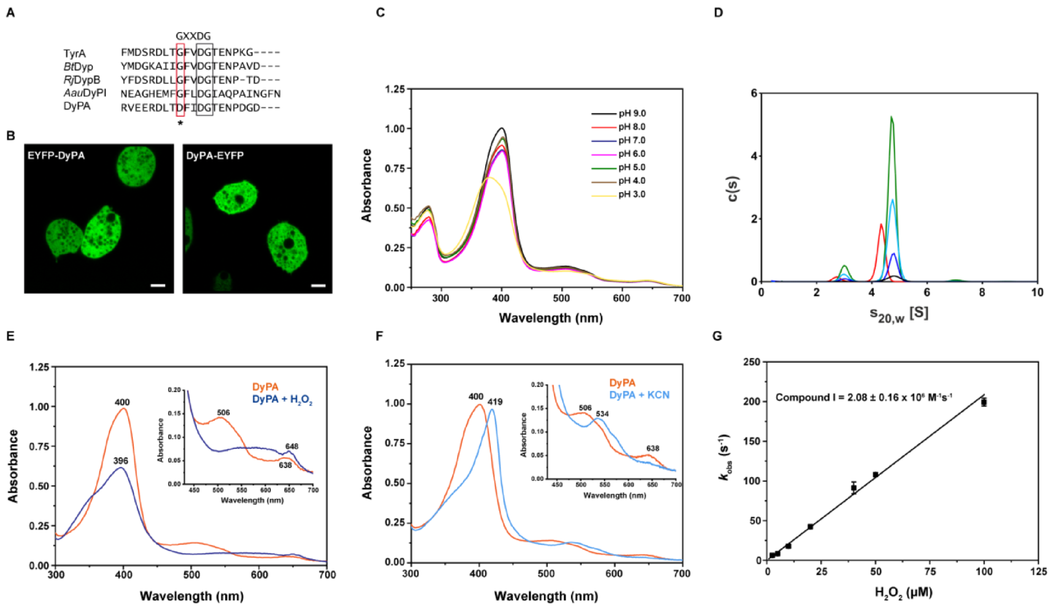Ijms 22 06265 g001 Ijms 22 06265 g001