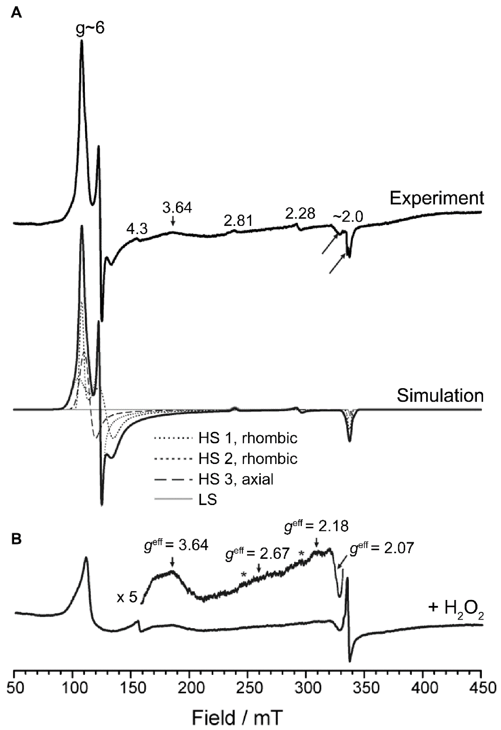Ijms 22 06265 g002 Ijms 22 06265 g002