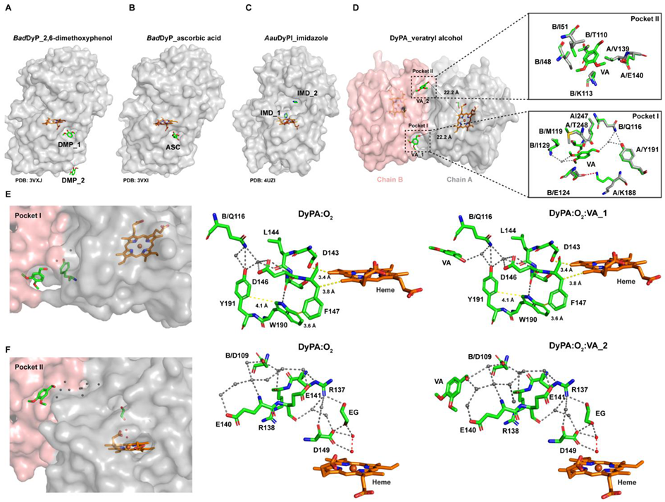 Ijms 22 06265 g008 Ijms 22 06265 g008